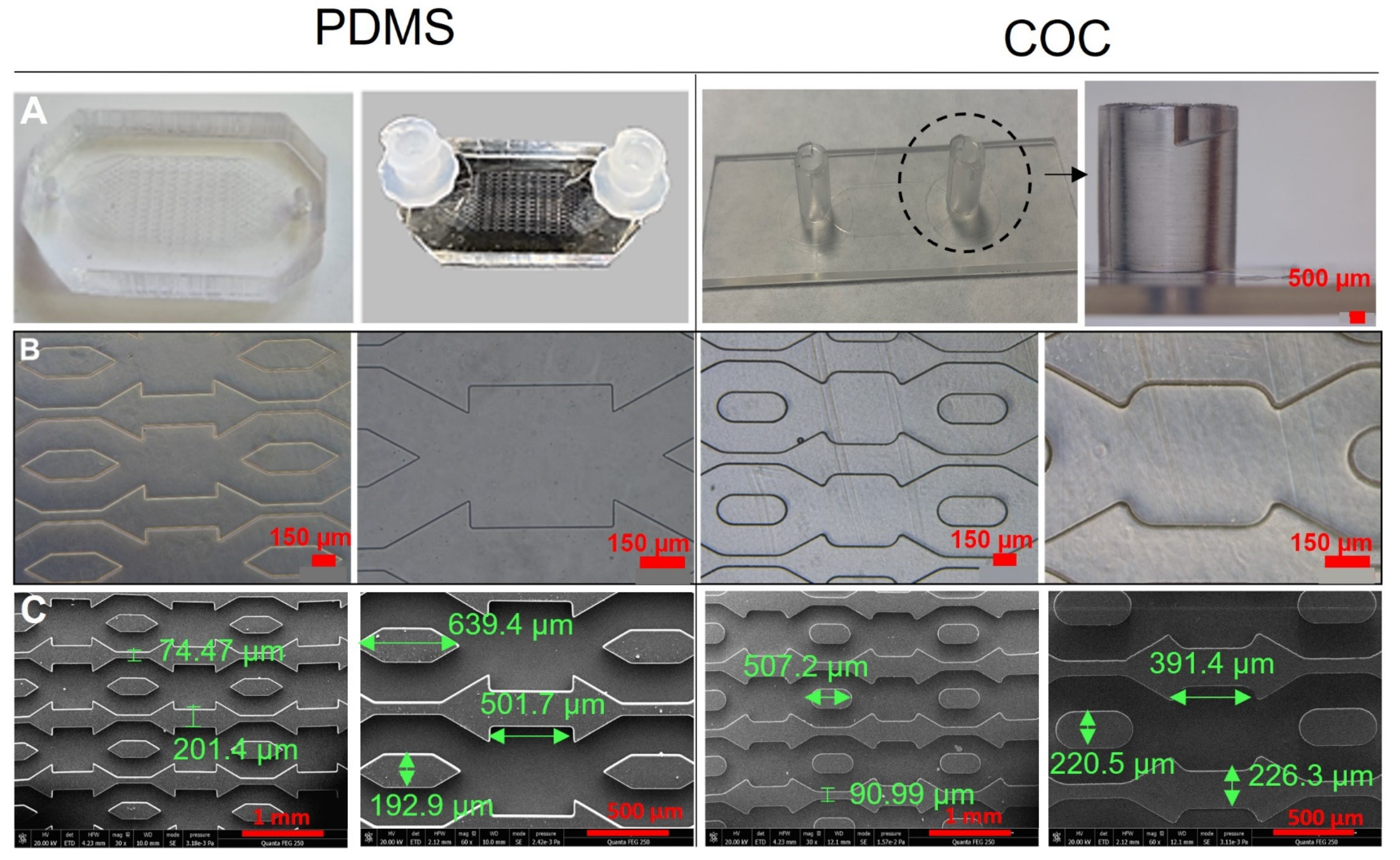 Polymers 14 04478 g003