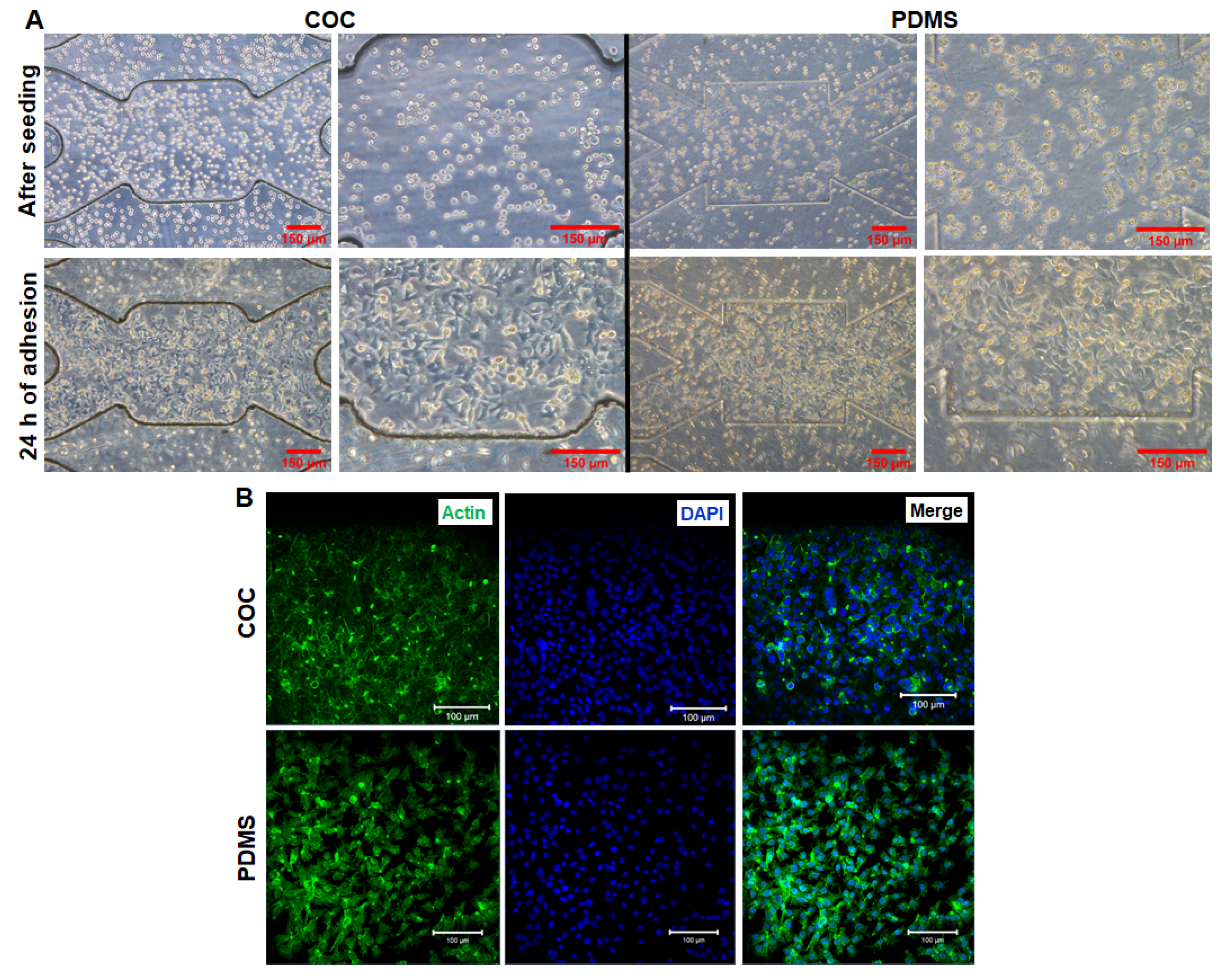 Polymers 14 04478 g005