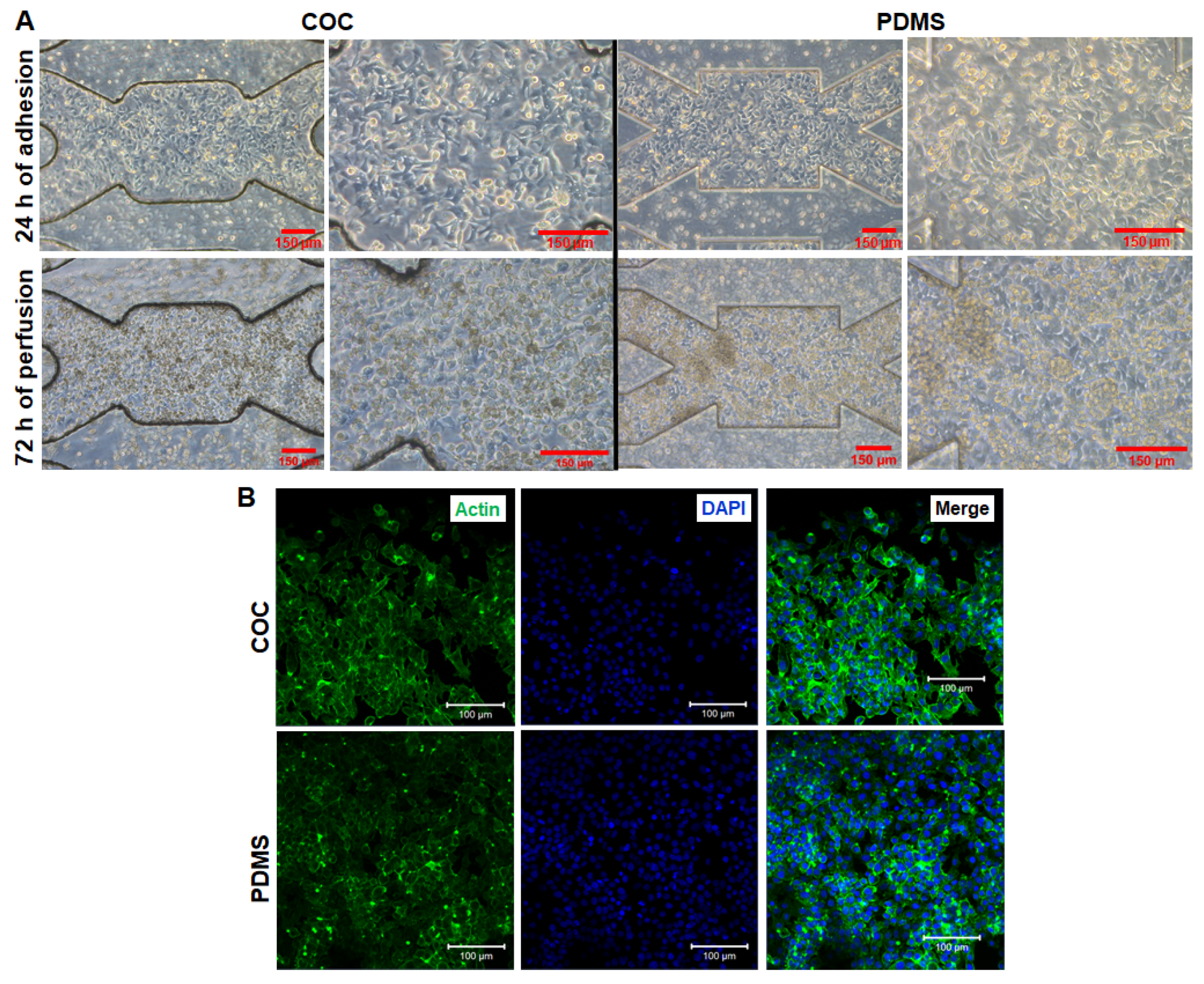 Polymers 14 04478 g006