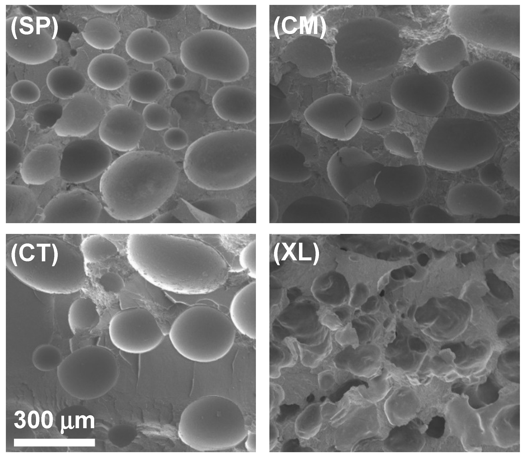 Polymers 14 04480 g003