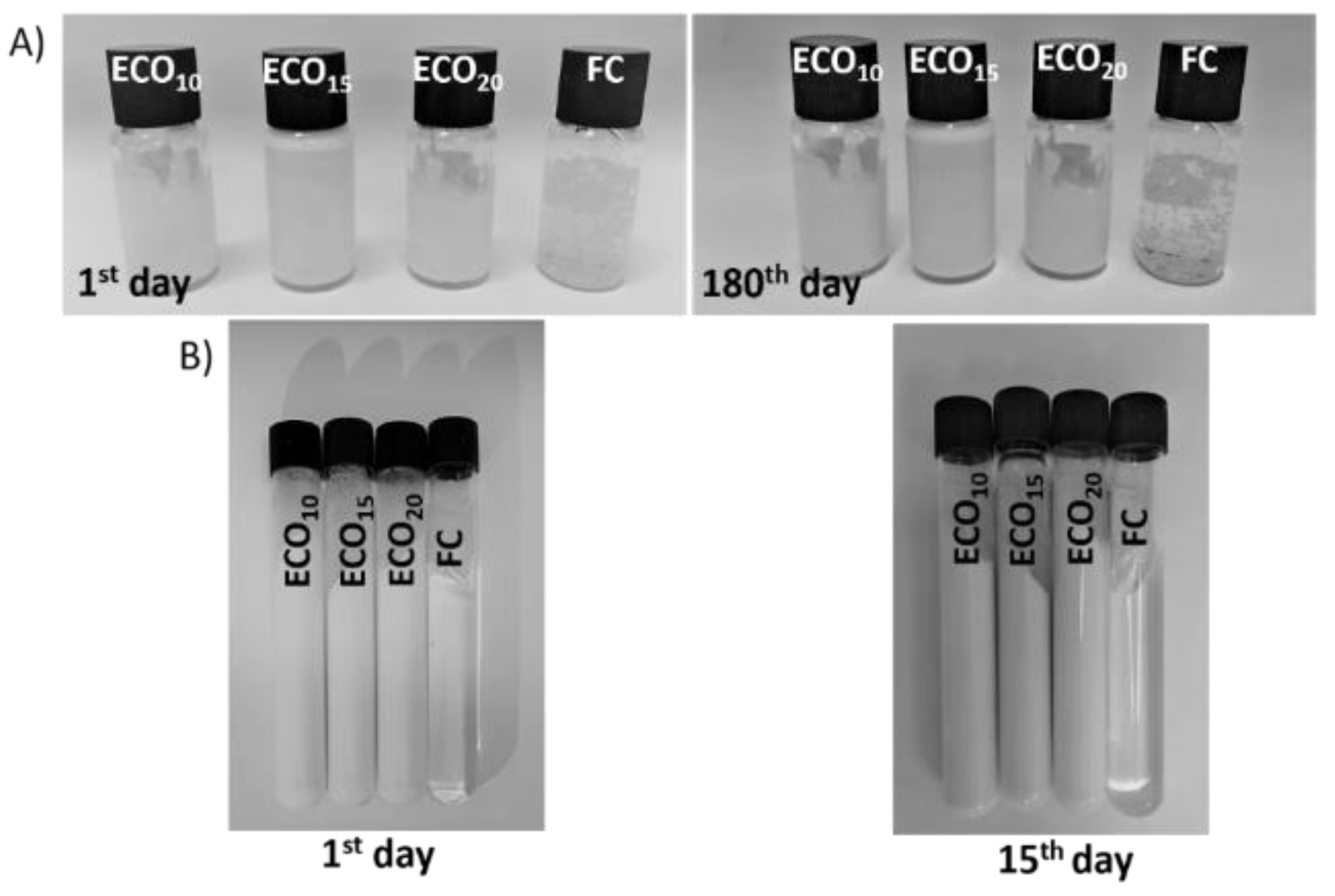 Polymers 14 04483 g002