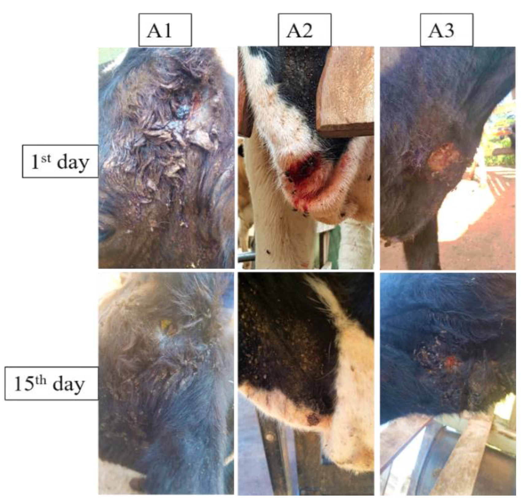 Polymers 14 04483 g006