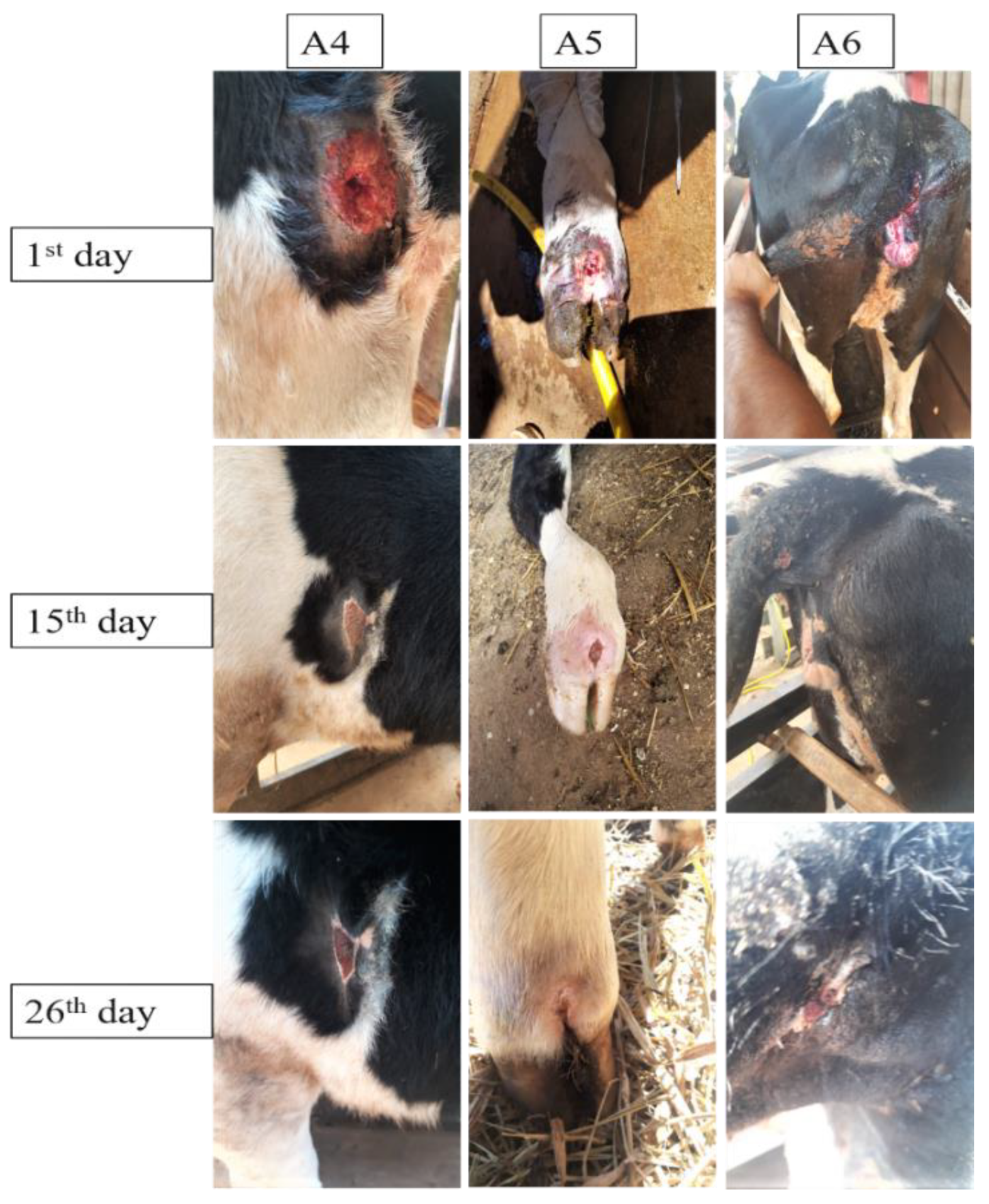 Polymers 14 04483 g007