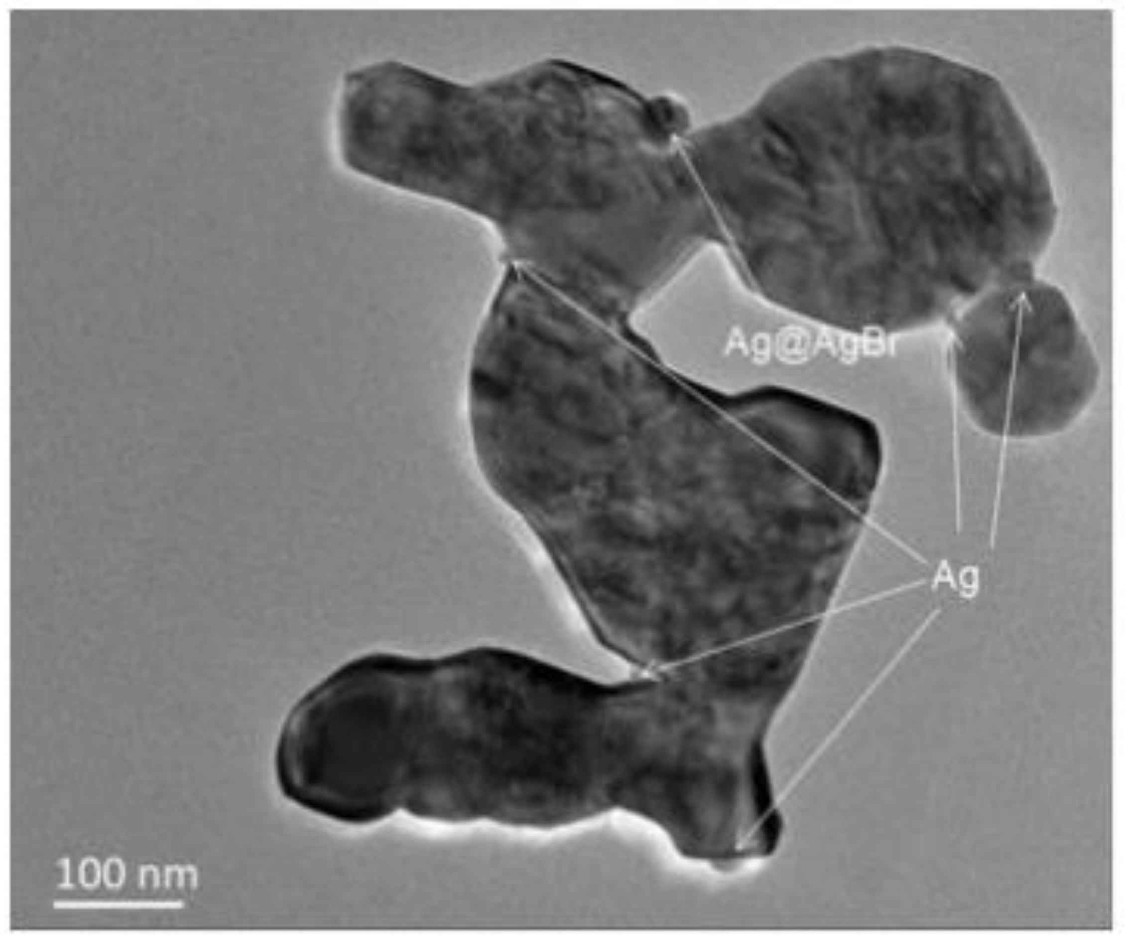 Polymers 14 04484 g013 Polymers 14 04484 g013