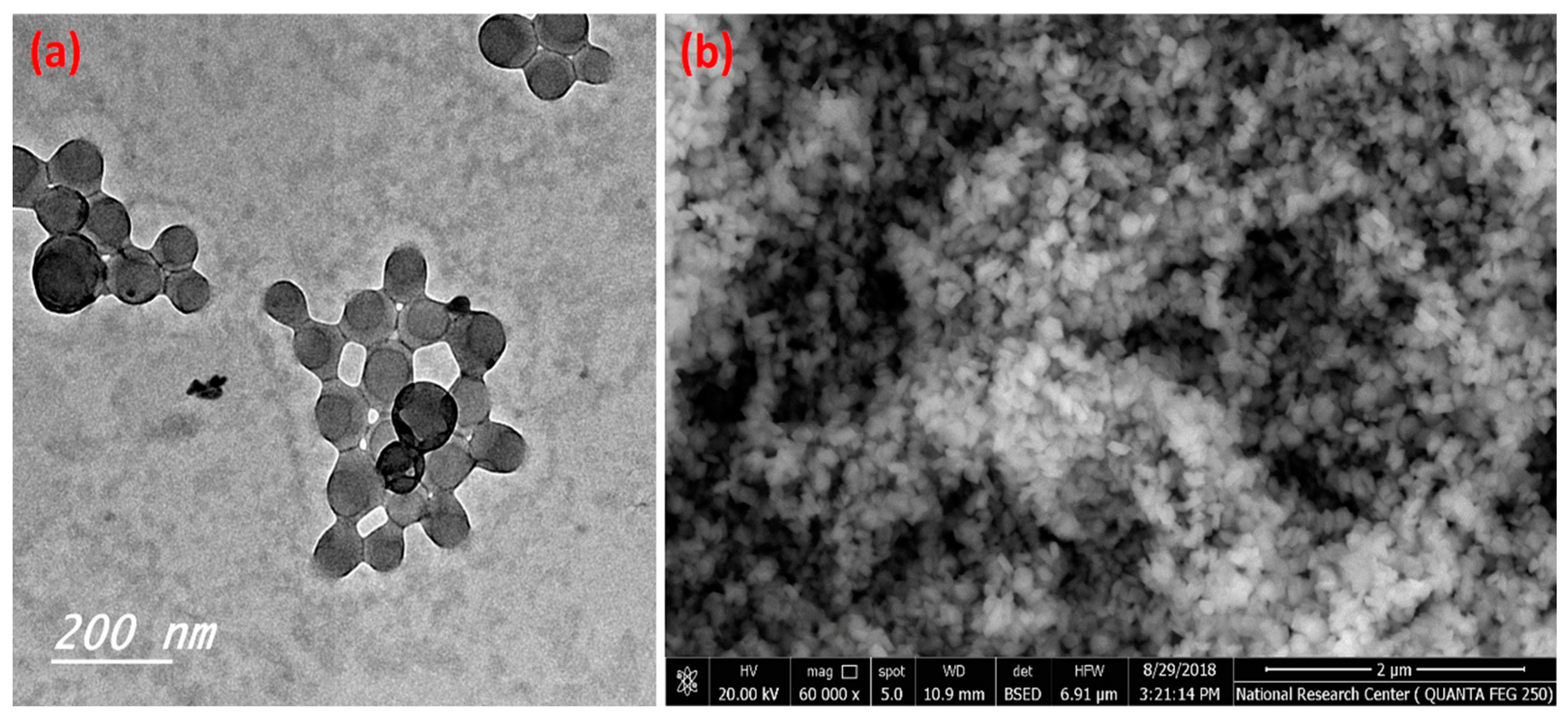 Polymers 14 04485 g001