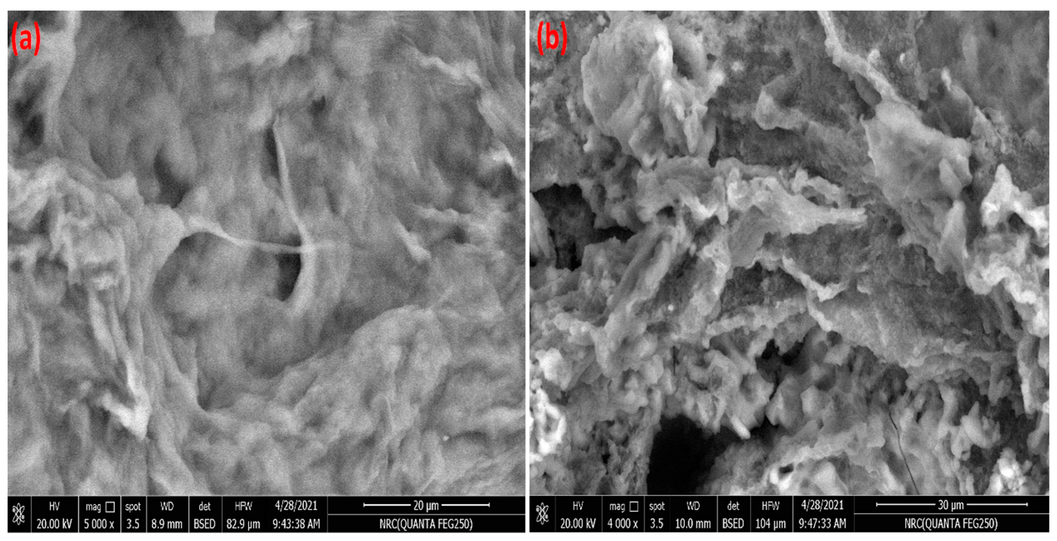 Polymers 14 04485 g002