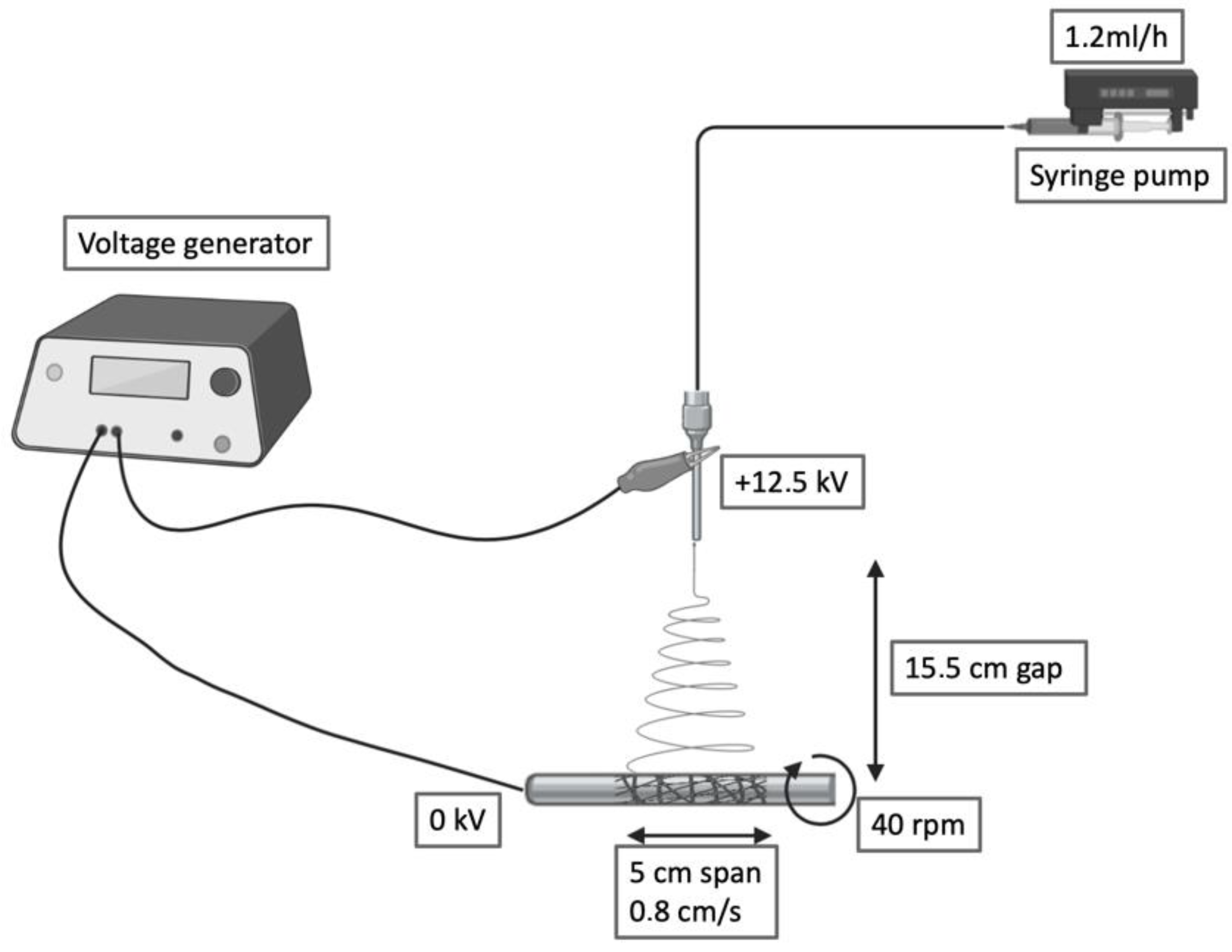 Polymers 14 04486 g001