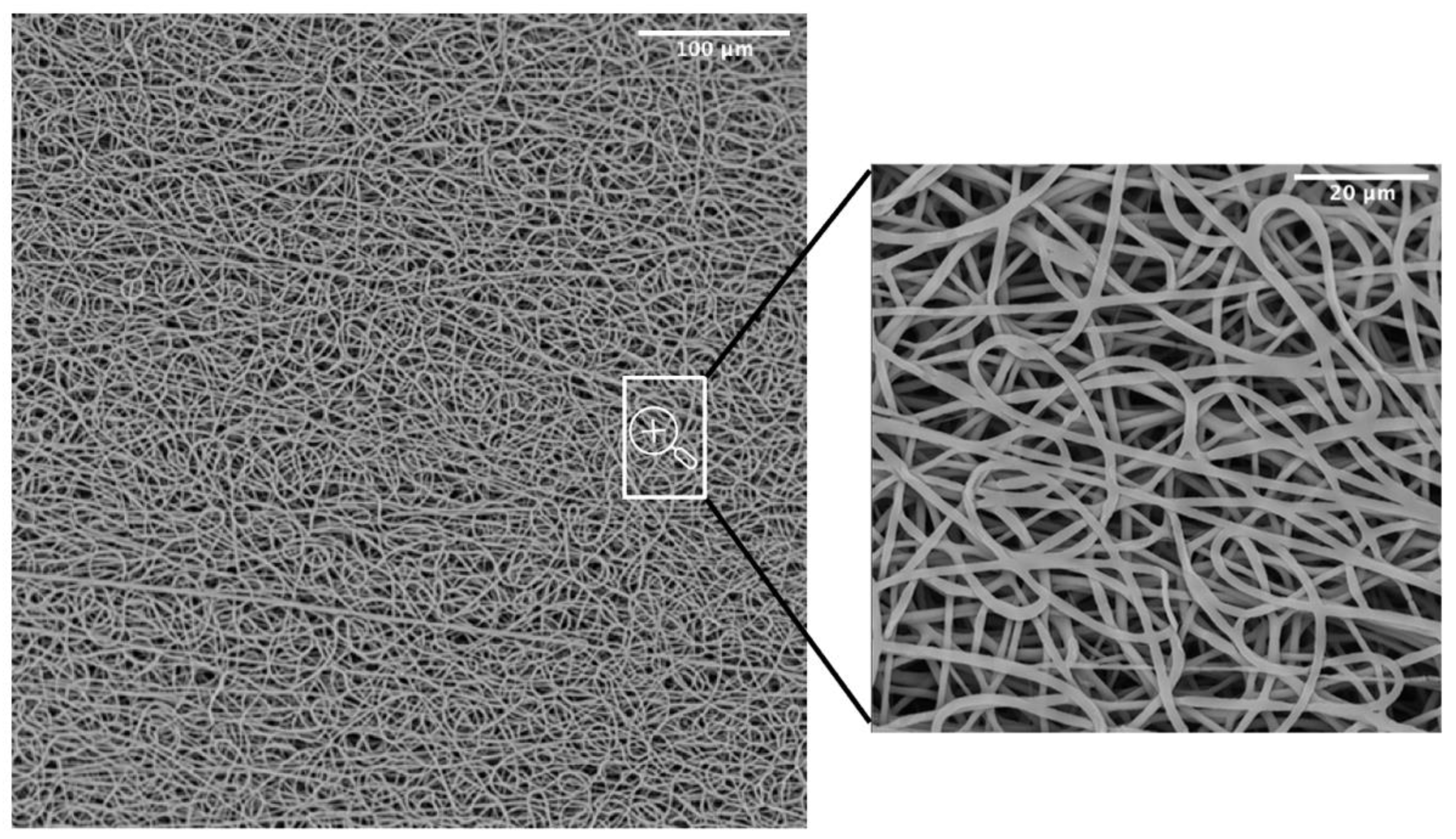 Polymers 14 04486 g003