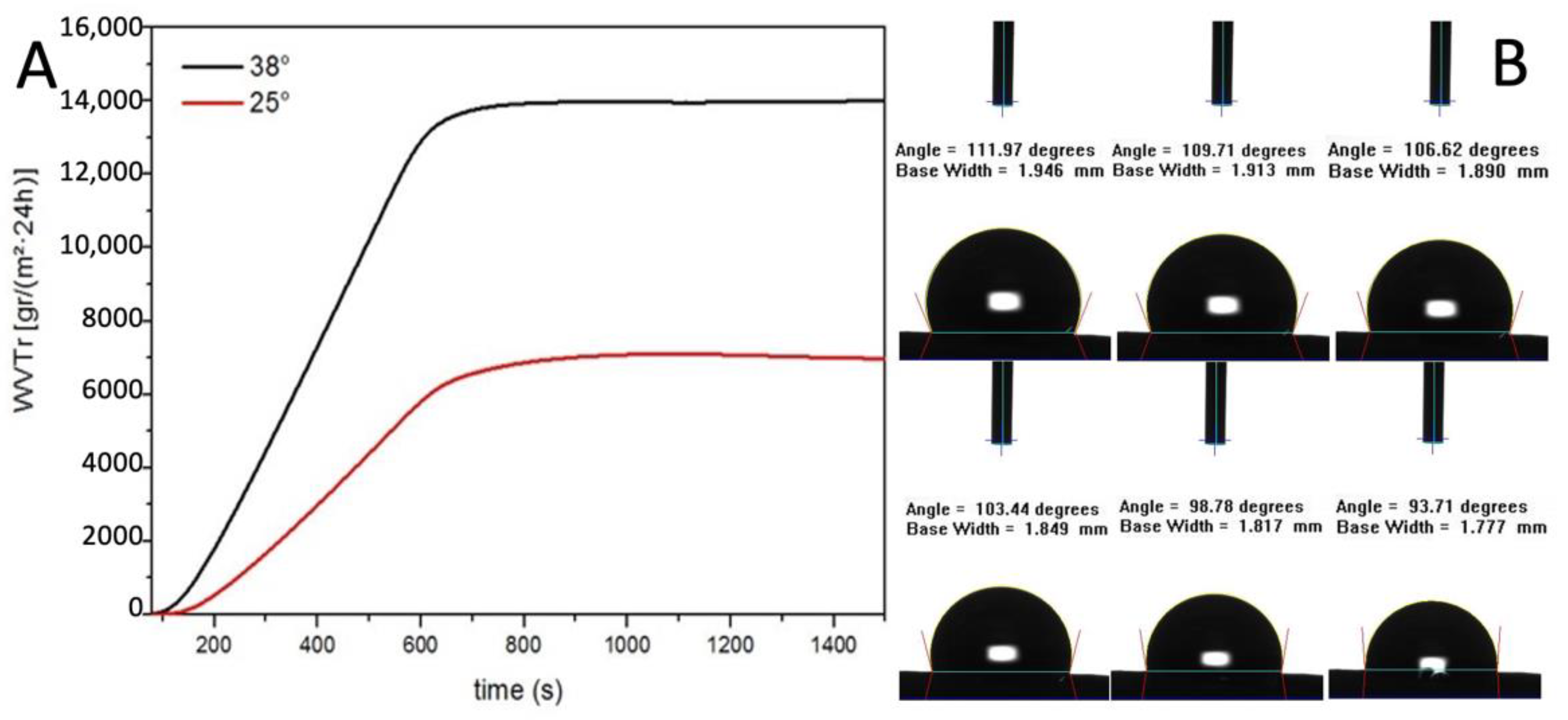 Polymers 14 04486 g004