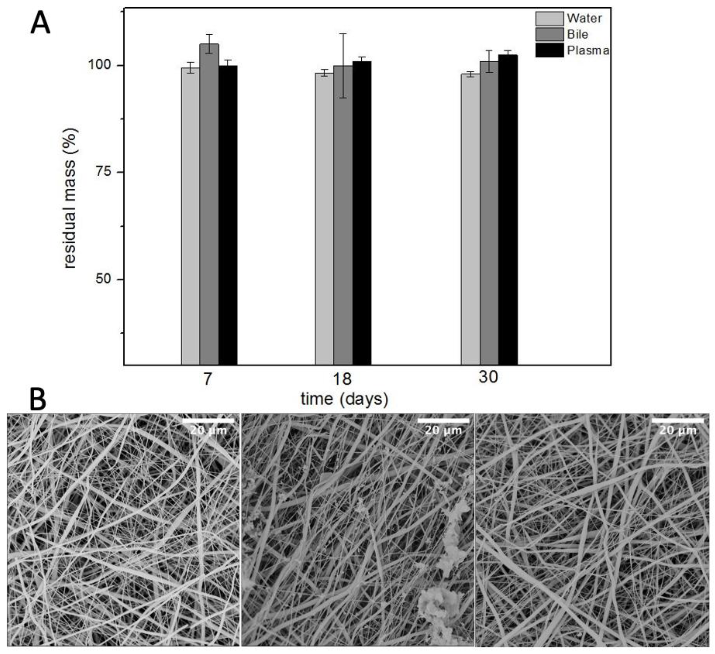 Polymers 14 04486 g005