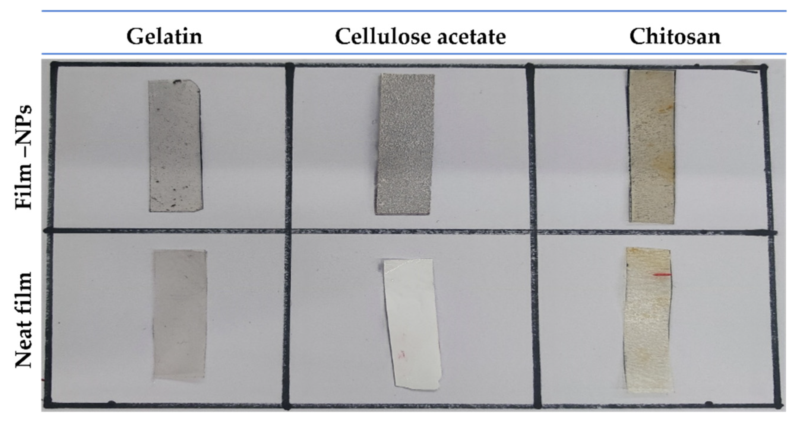 Polymers 14 04487 g004