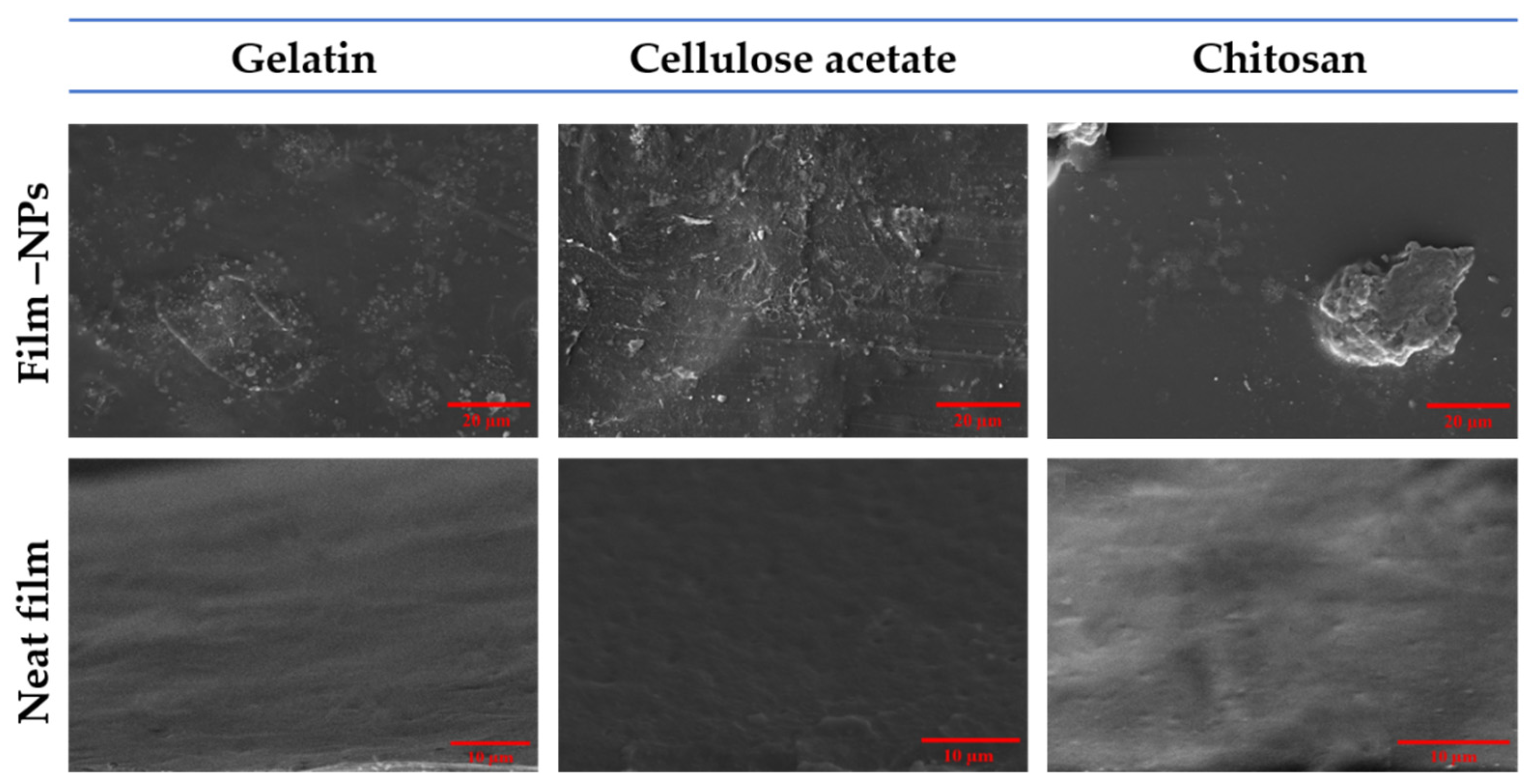 Polymers 14 04487 g006