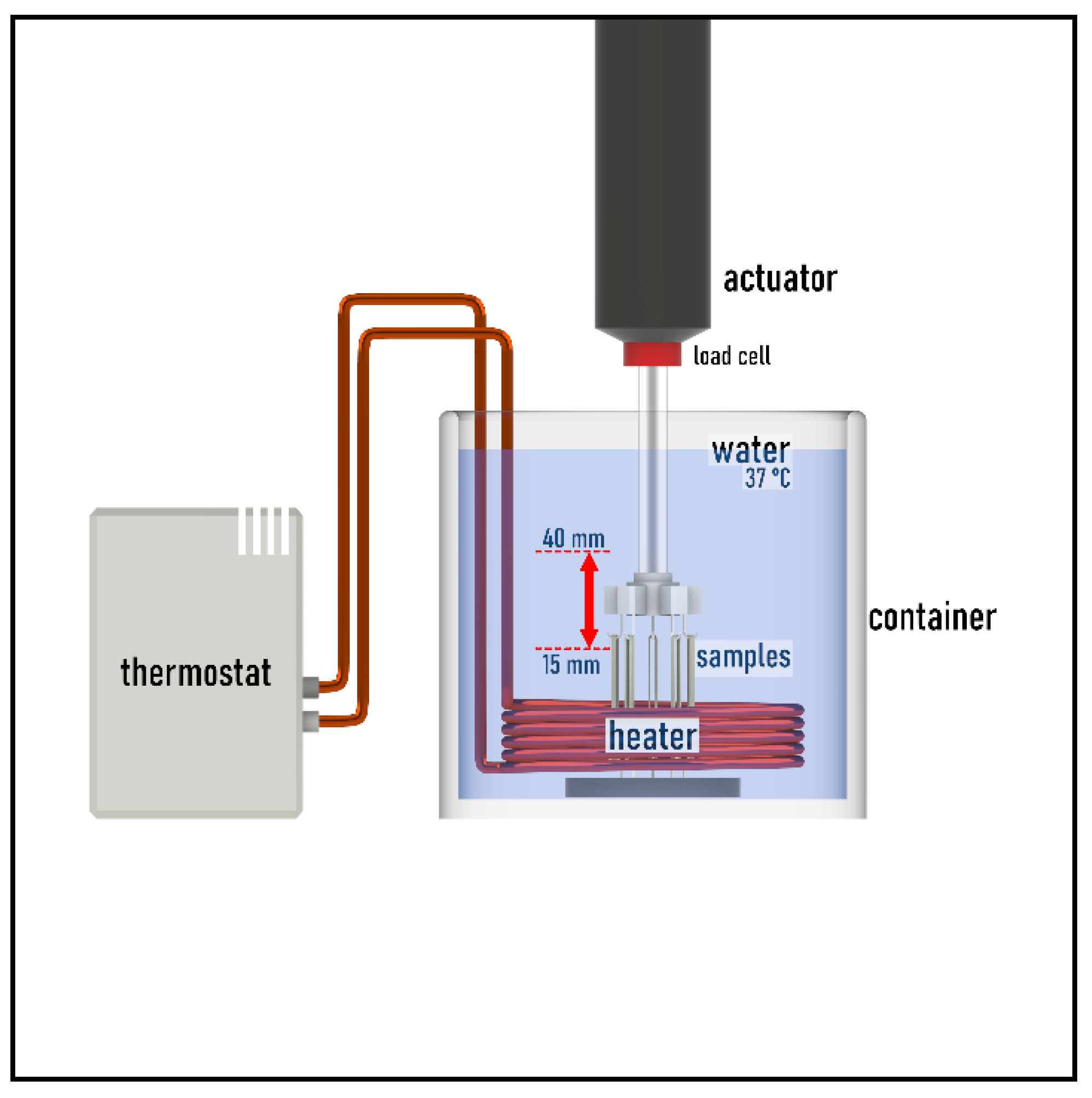 Polymers 14 04488 g002