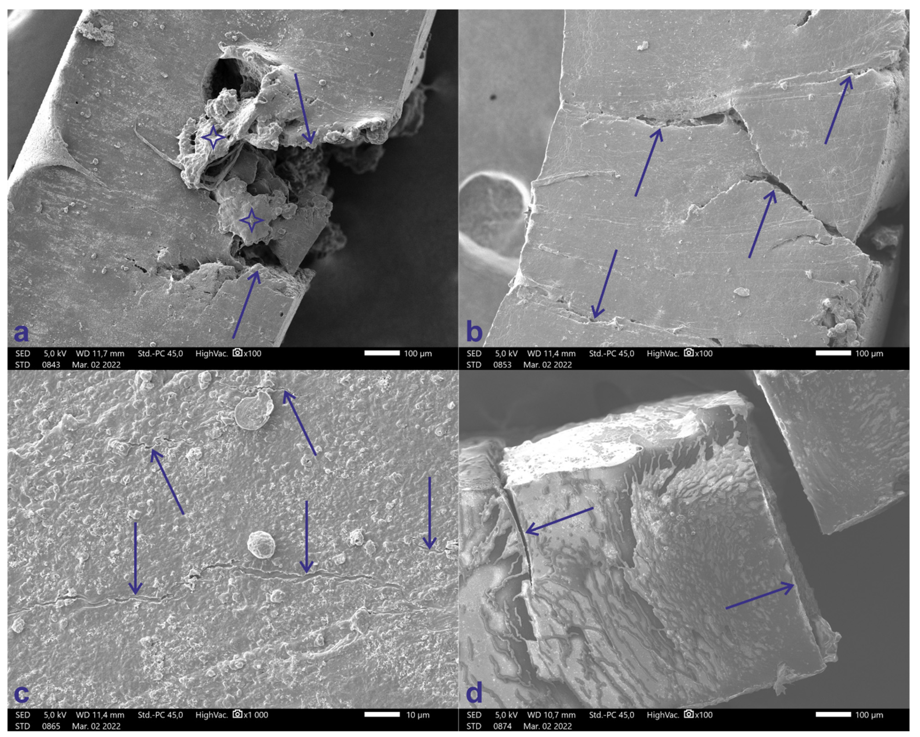 Polymers 14 04488 g008
