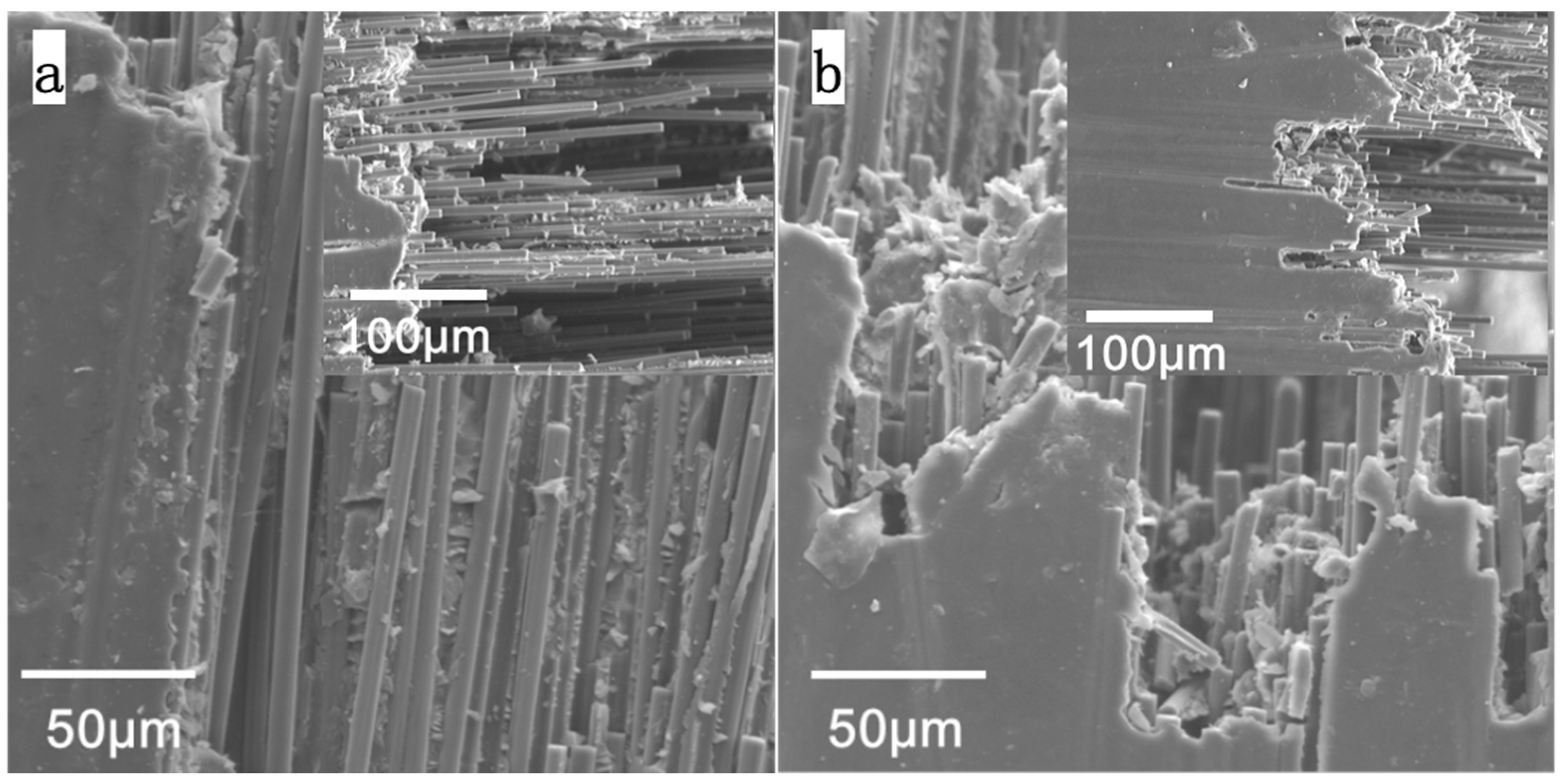 Polymers 14 04489 g008