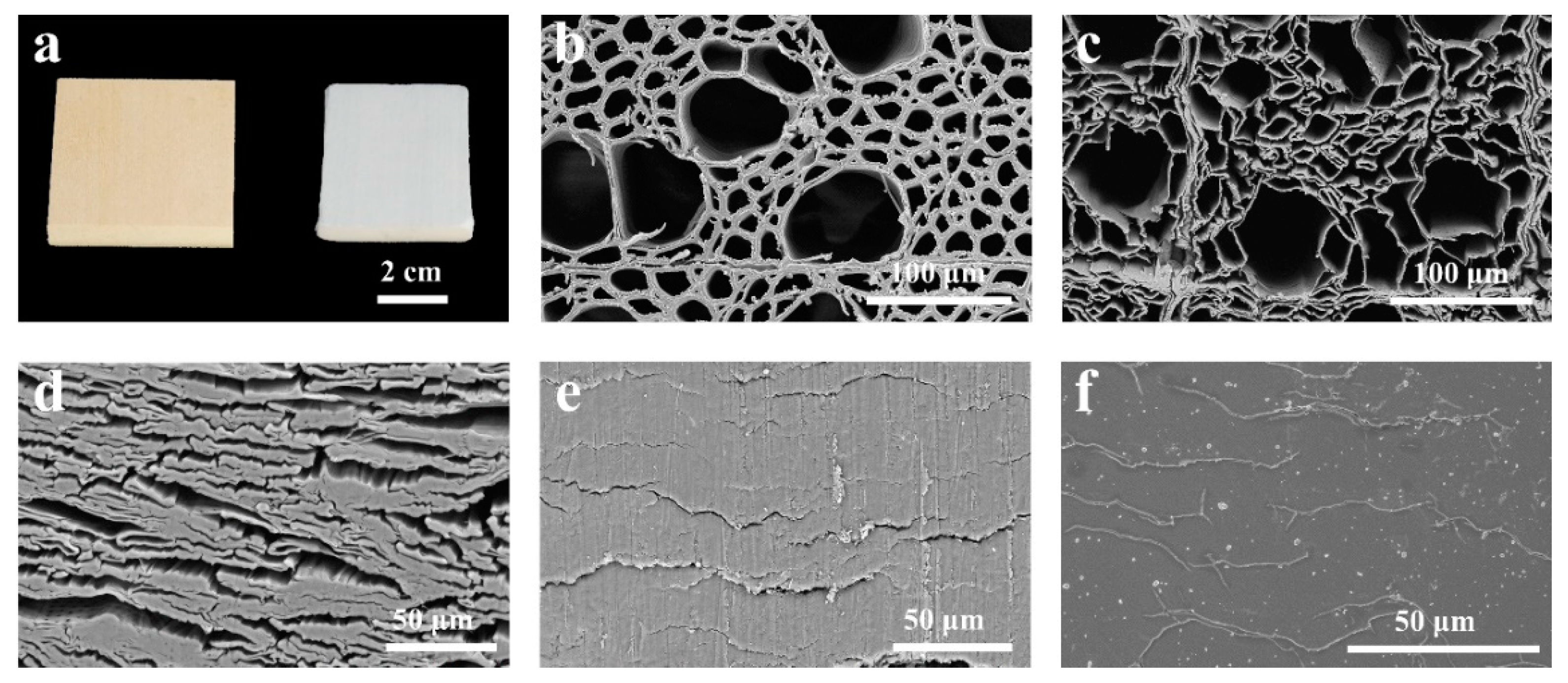 Polymers 14 04490 g002