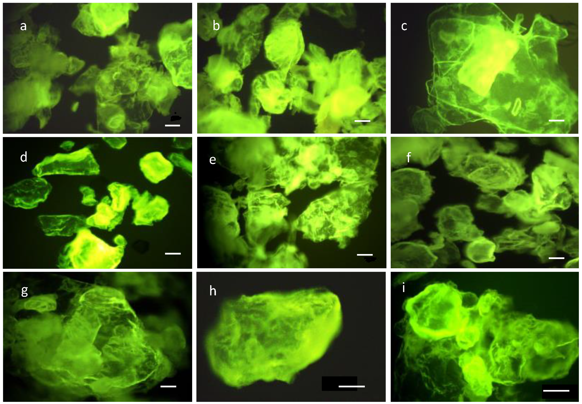 Polymers 14 04492 g005