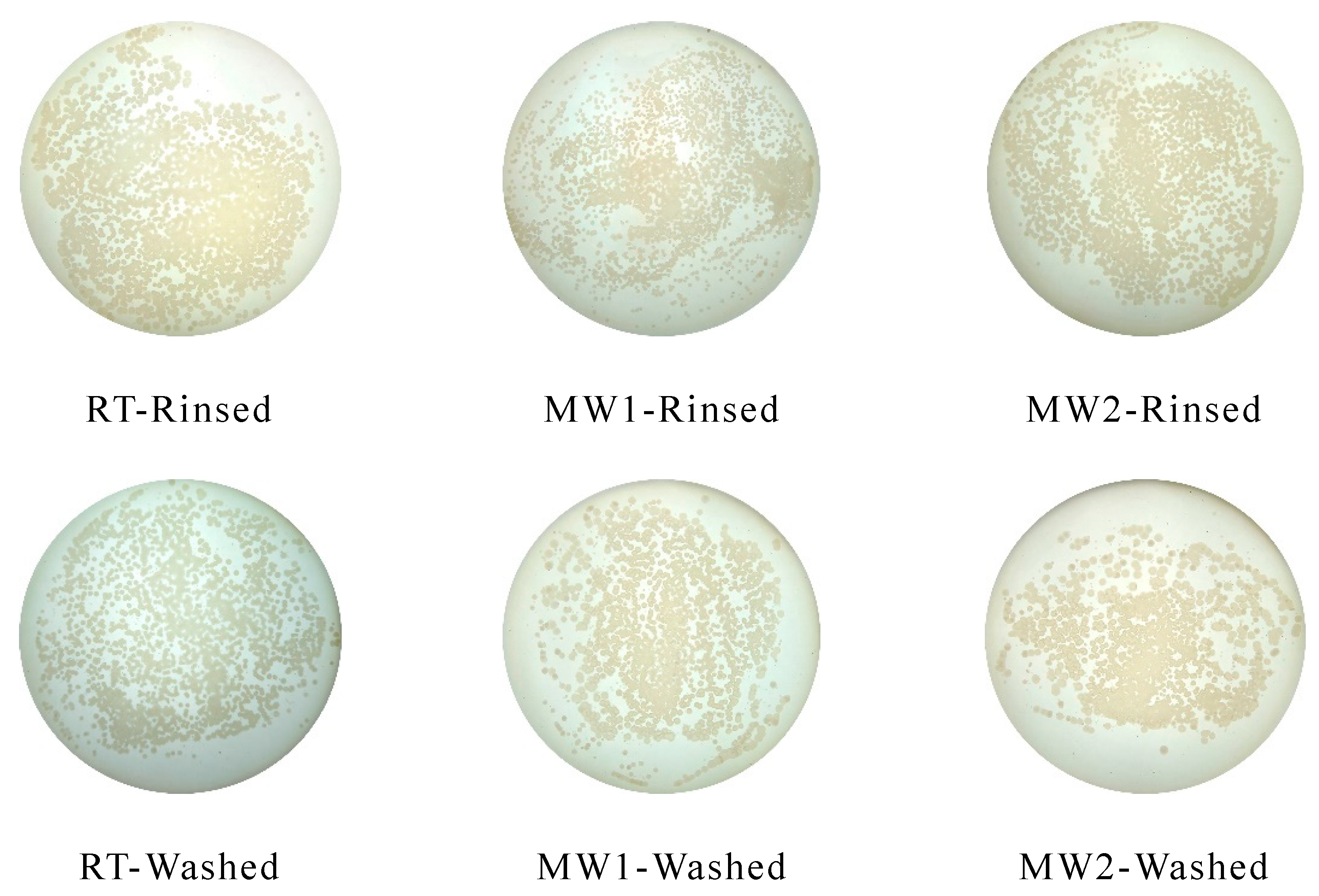 Polymers 14 04493 g008a