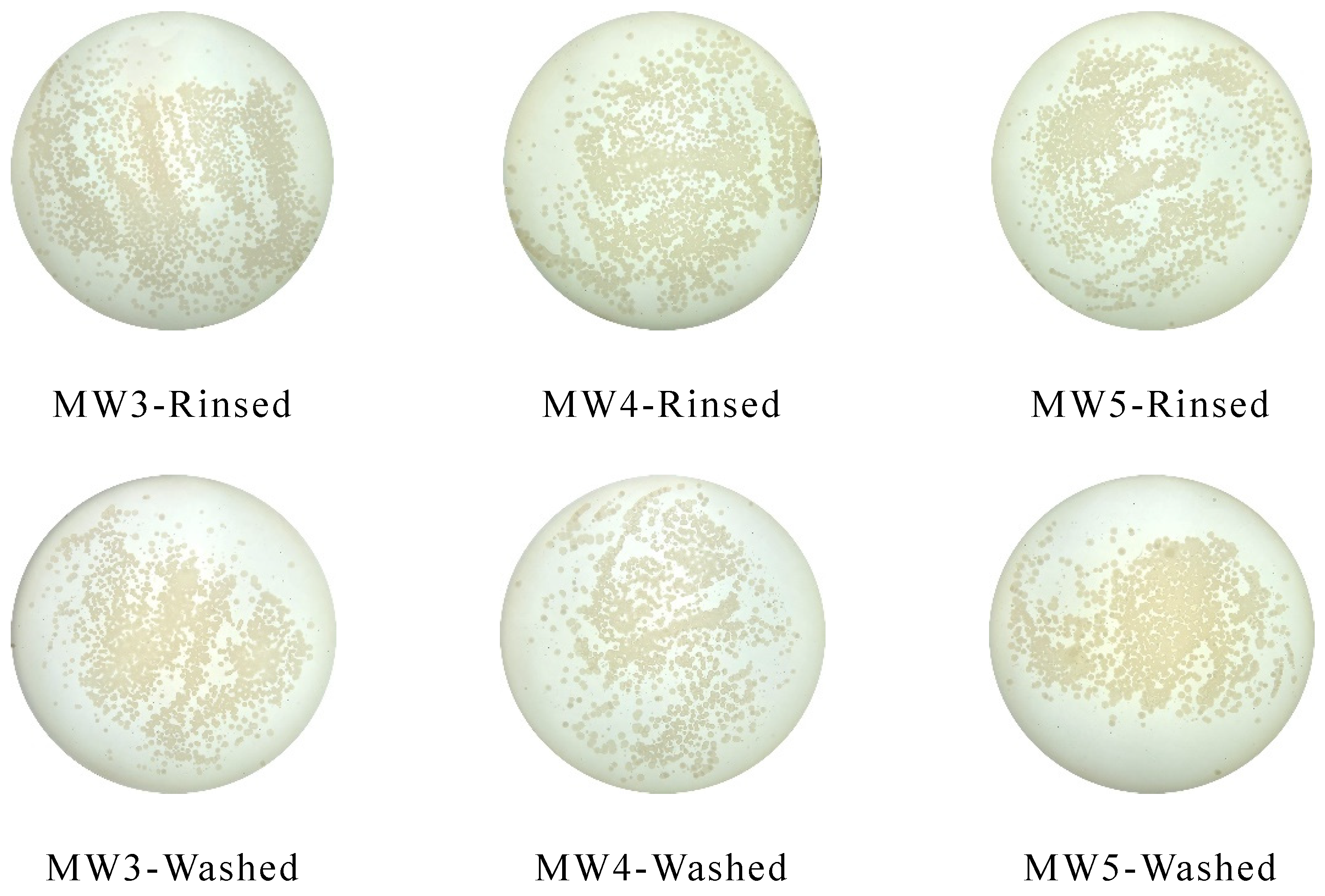 Polymers 14 04493 g008b