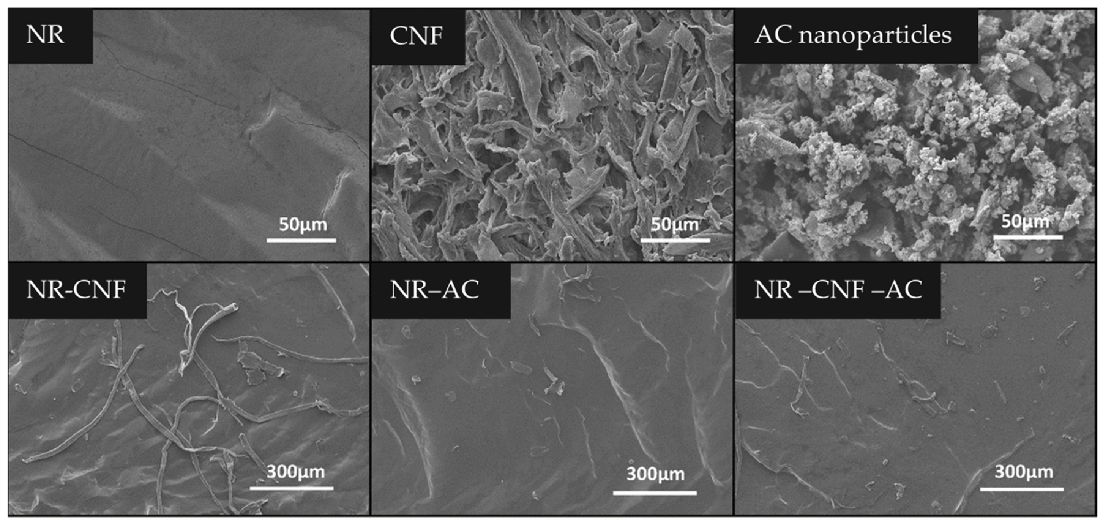 Polymers 14 04495 g002