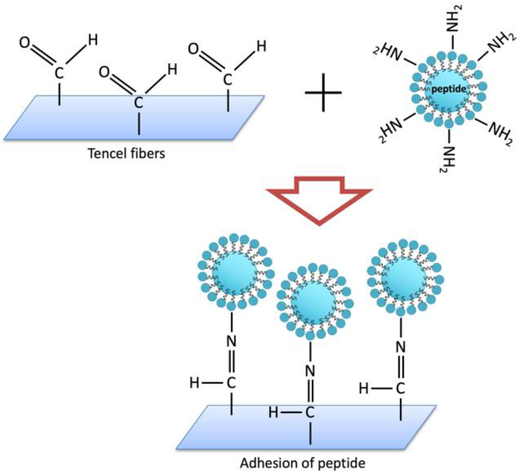 Polymers 14 04497 g004 Polymers 14 04497 g004