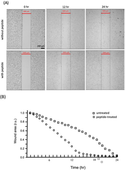 Polymers 14 04497 g0a1