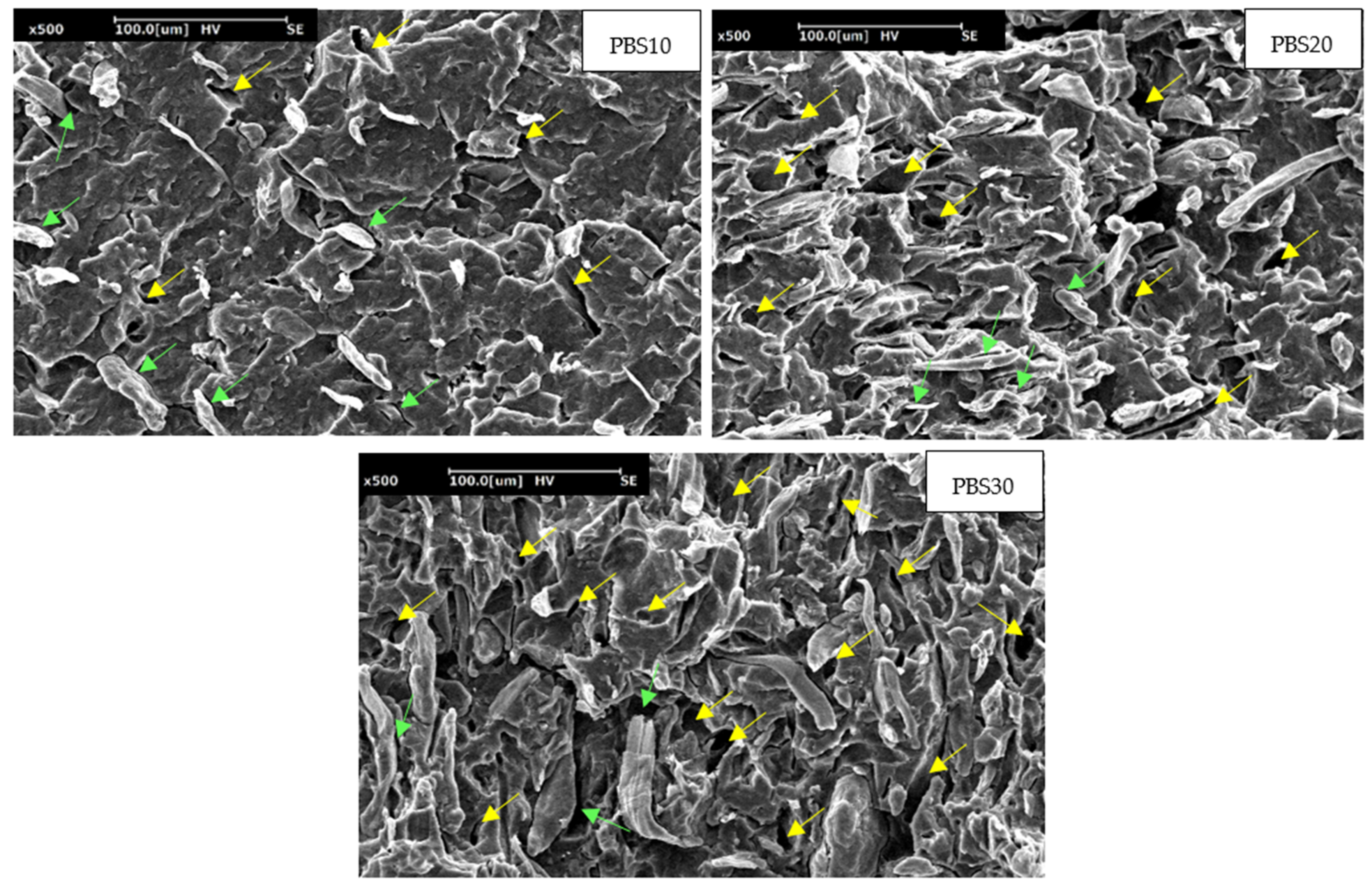 Polymers 14 04499 g007