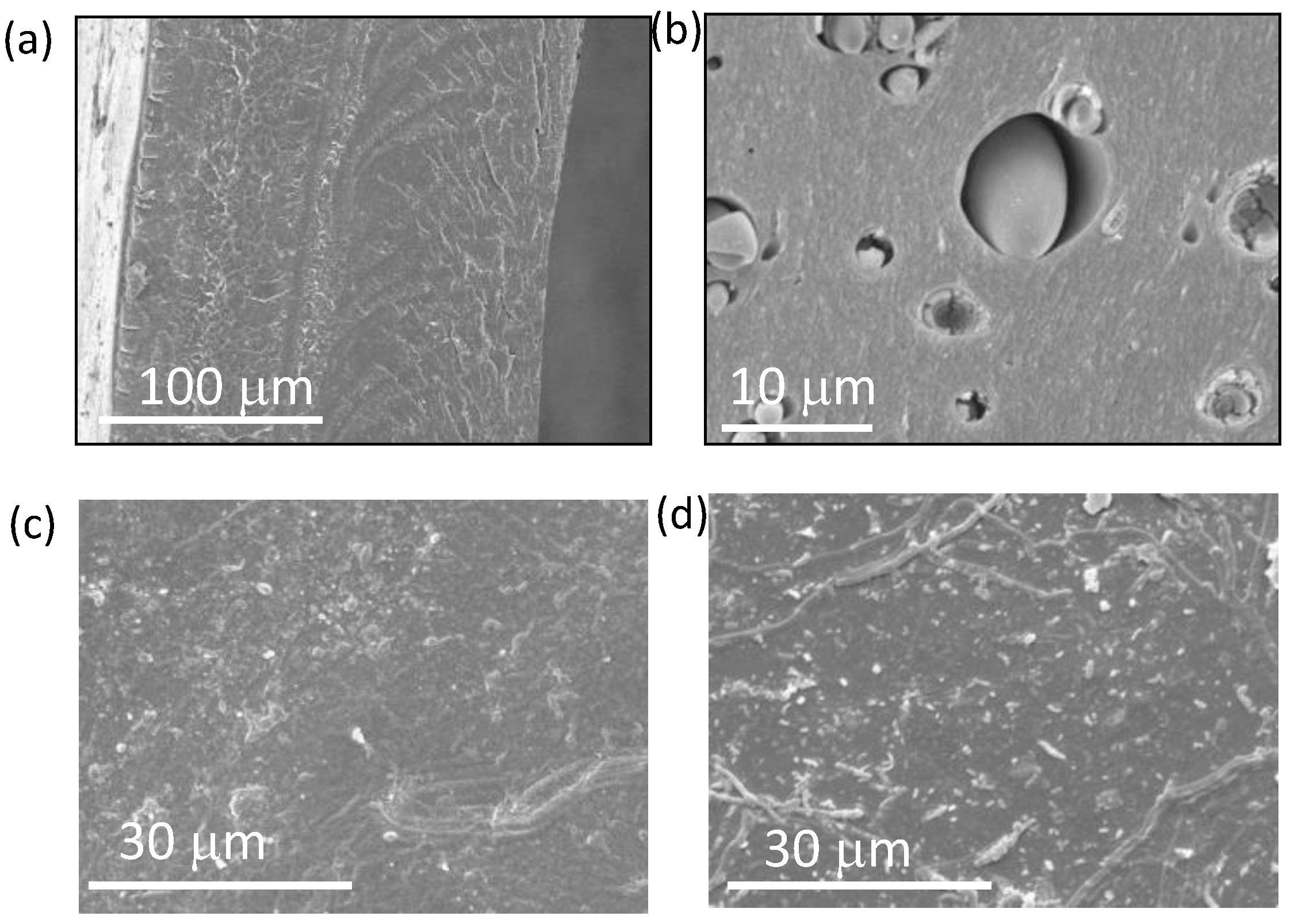 Polymers 14 04500 g001