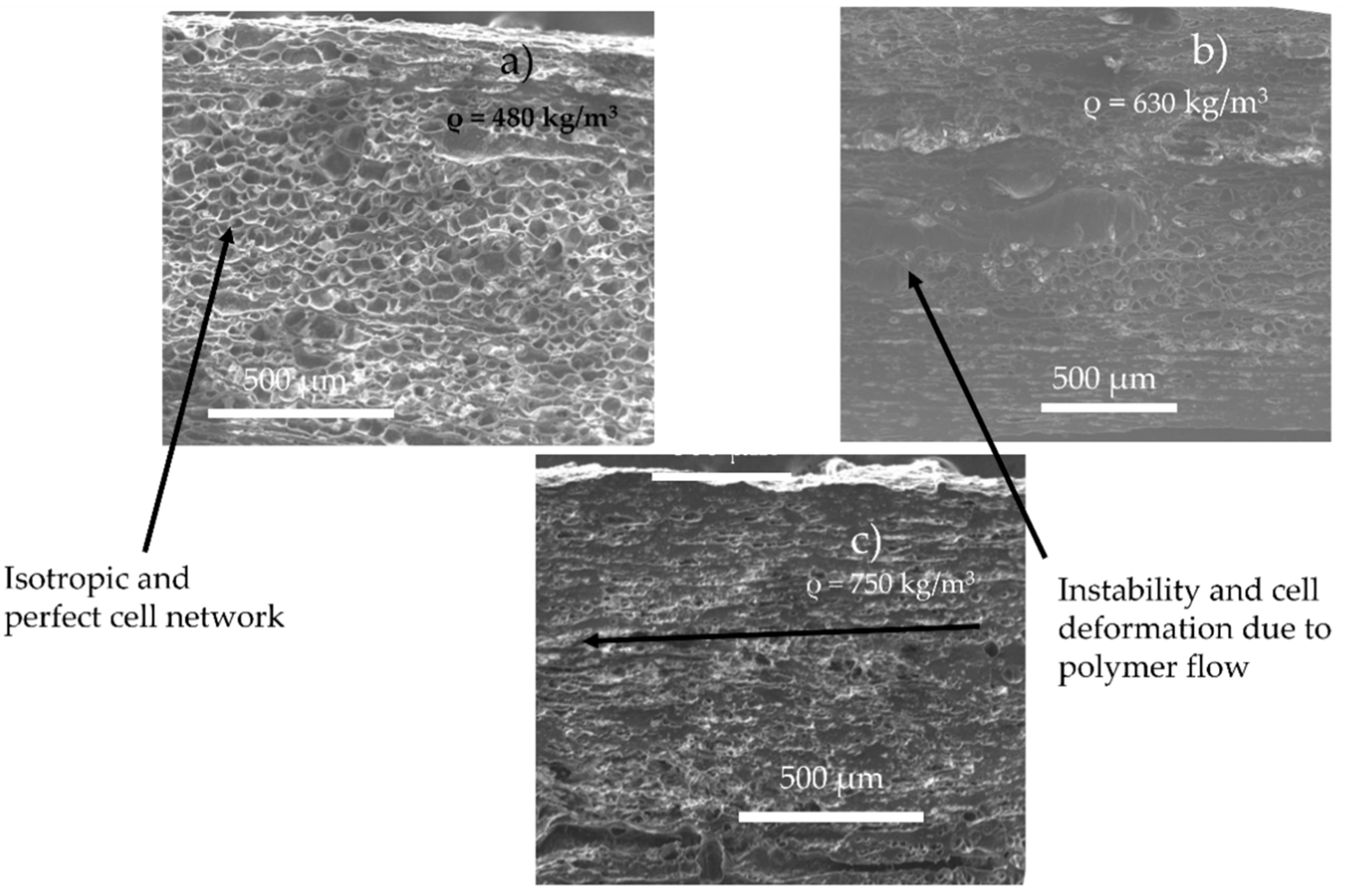 Polymers 14 04513 g005