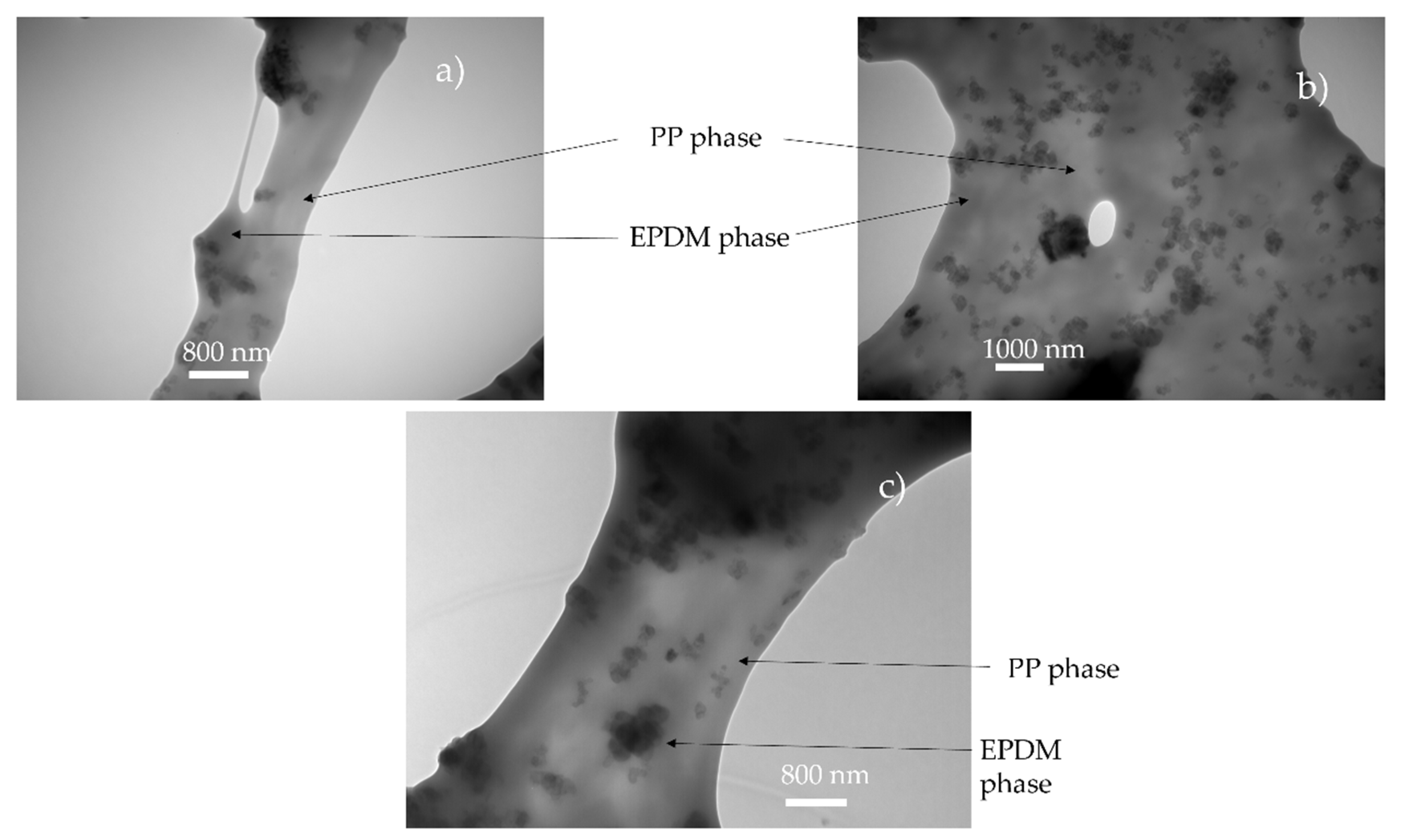 Polymers 14 04513 g006