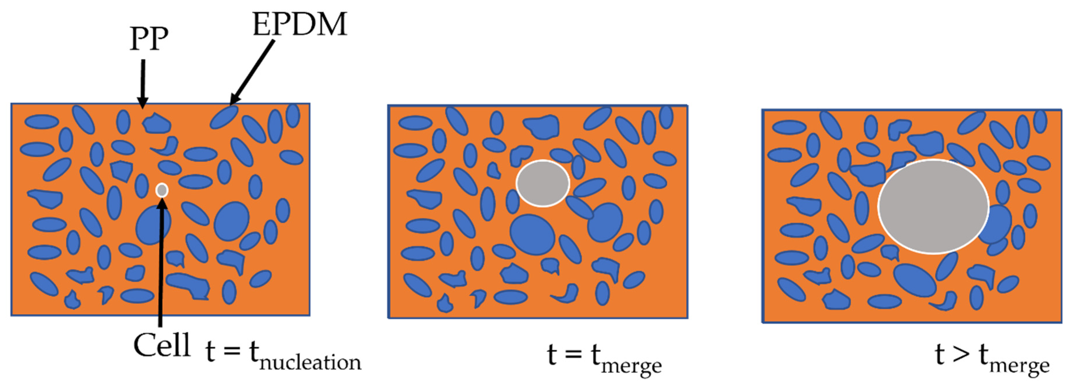 Polymers 14 04513 g007