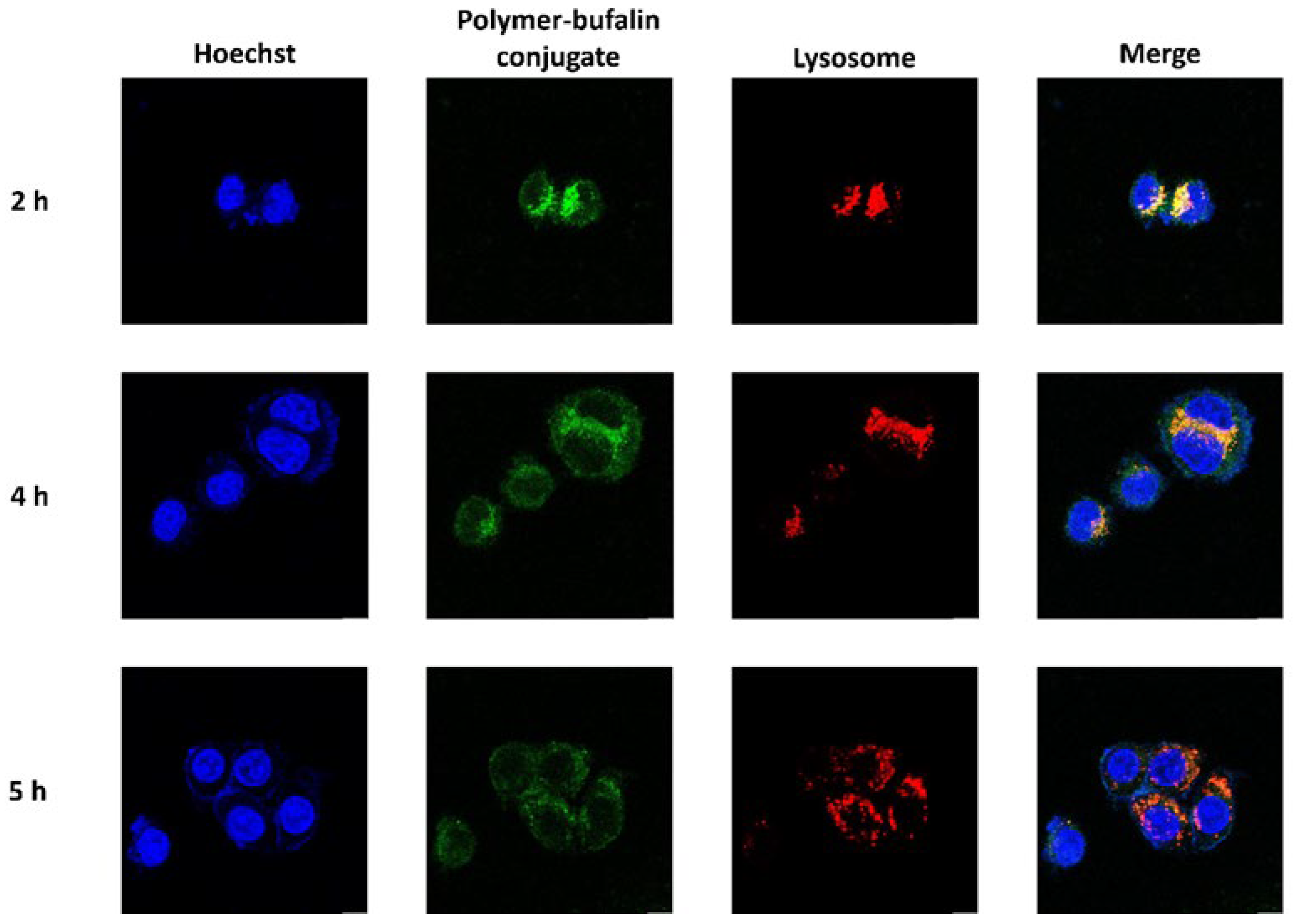 Polymers 14 04515 g003