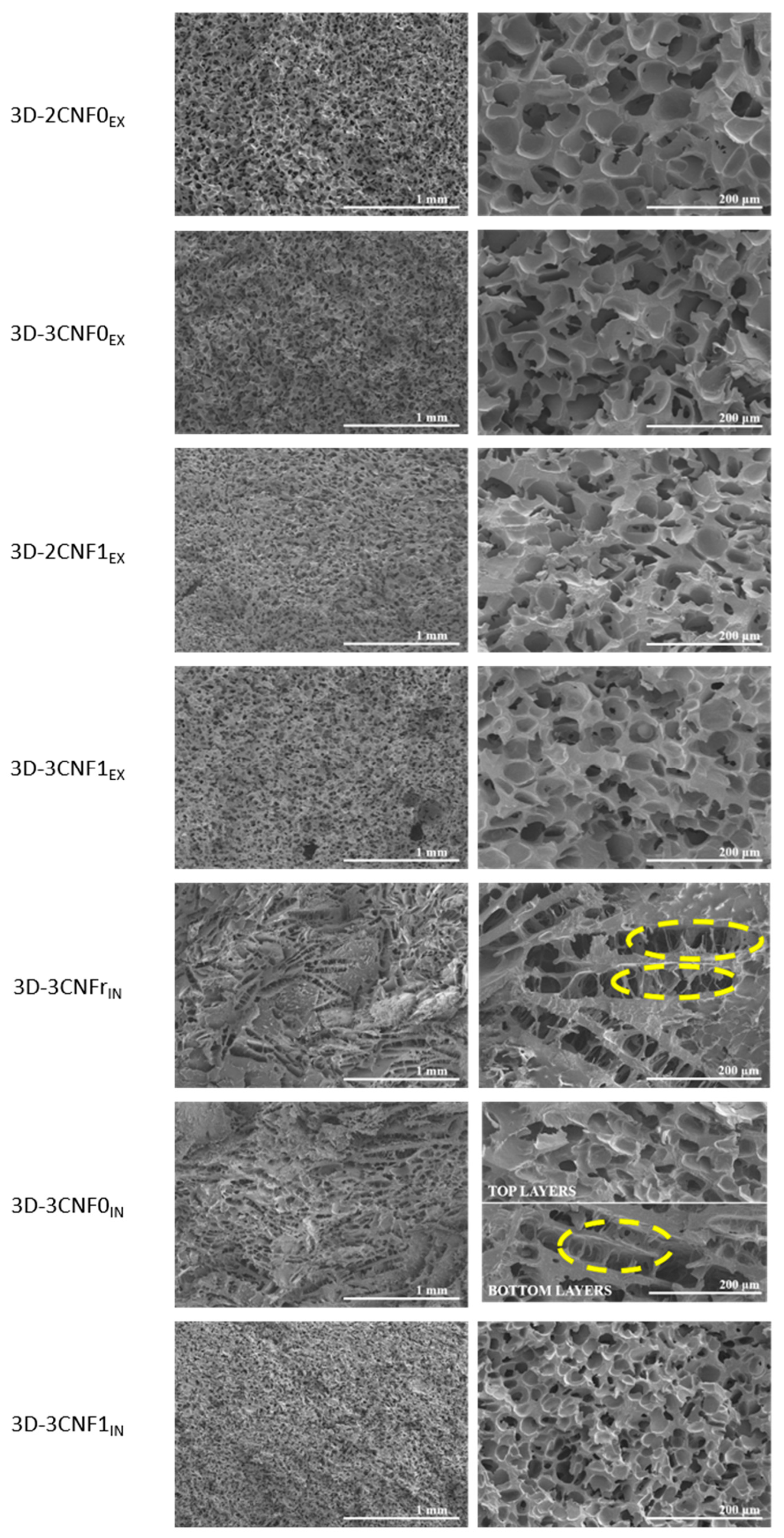 Polymers 14 04516 g007