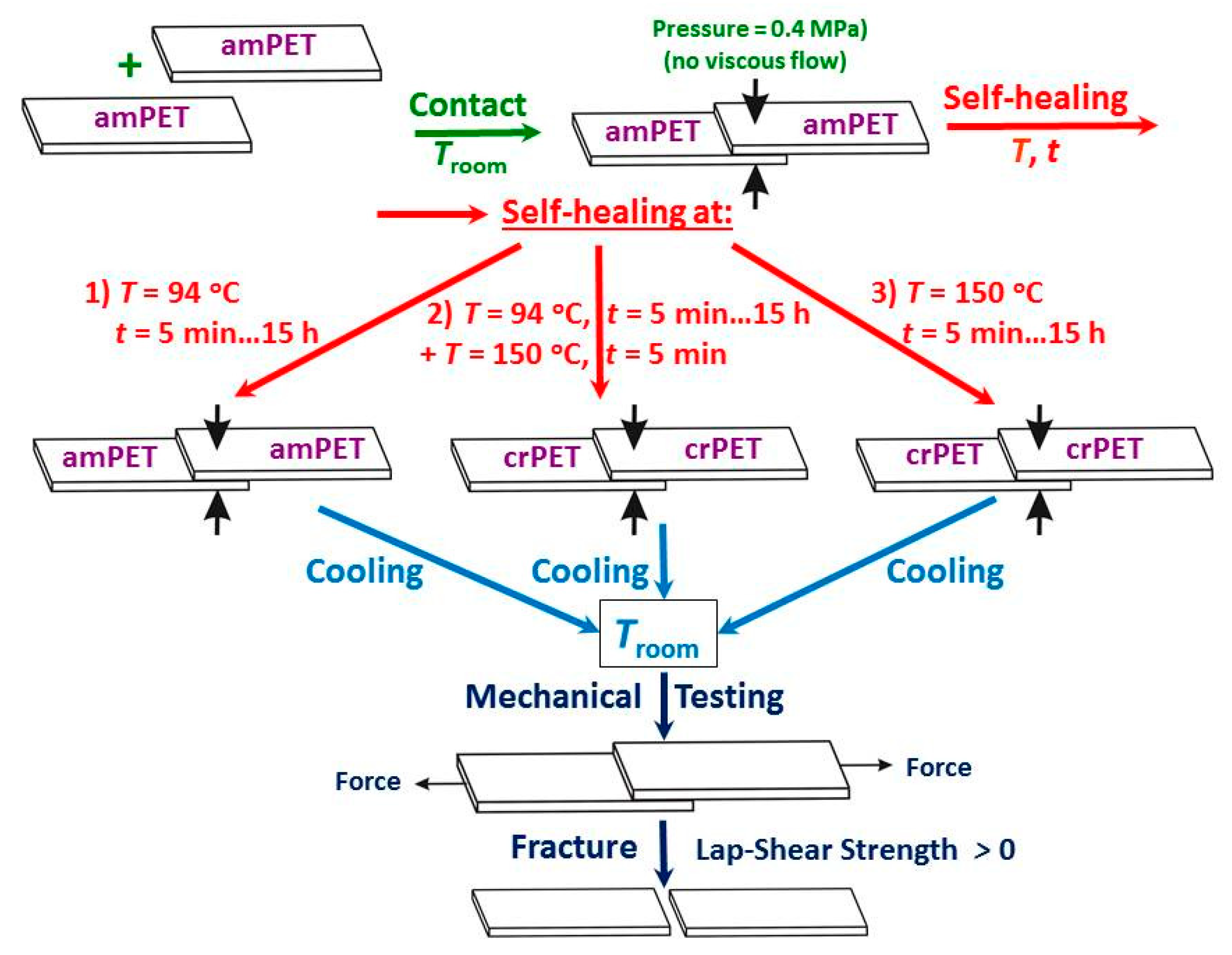 Polymers 14 04519 g001