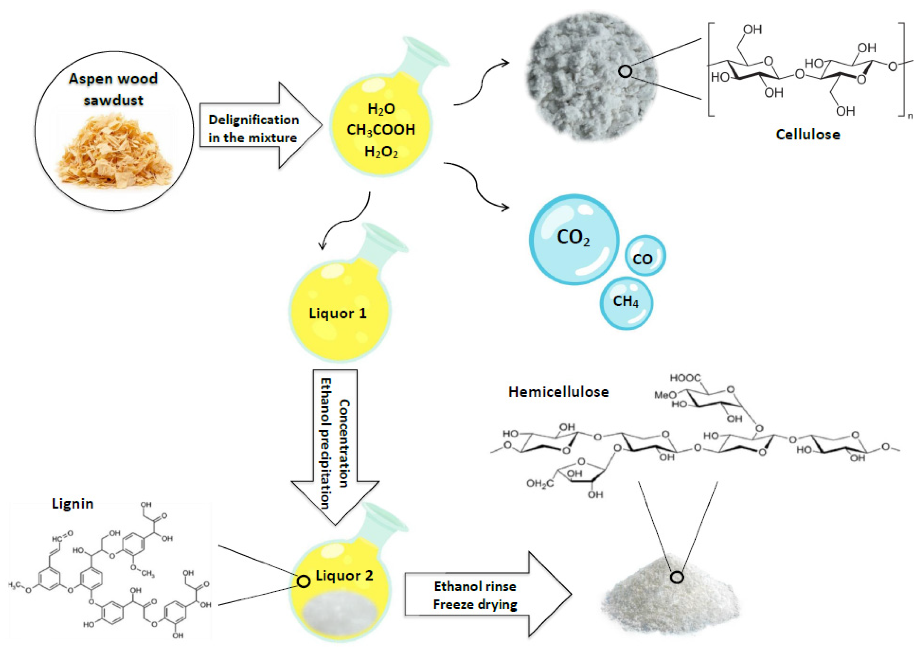 Polymers 14 04521 g001
