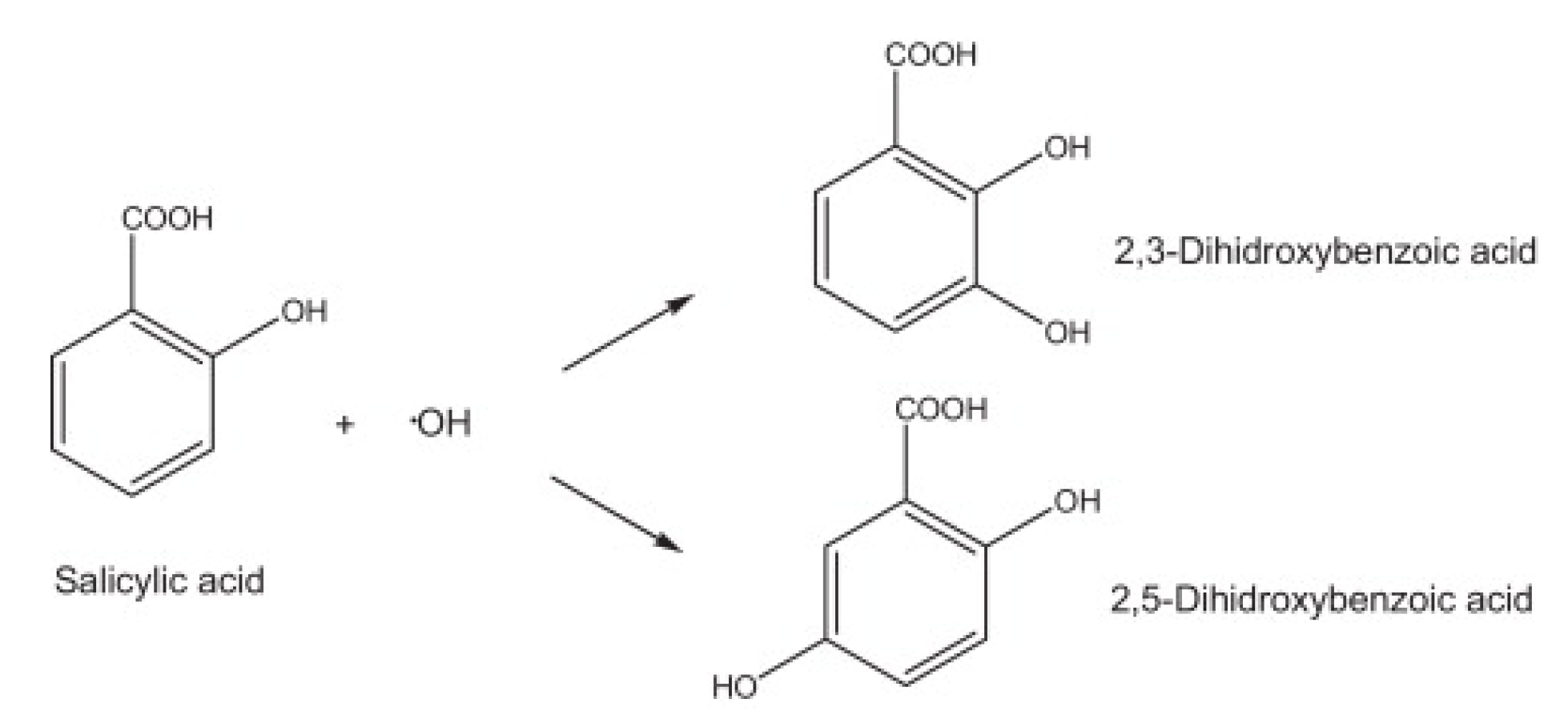 Polymers 14 04521 g012