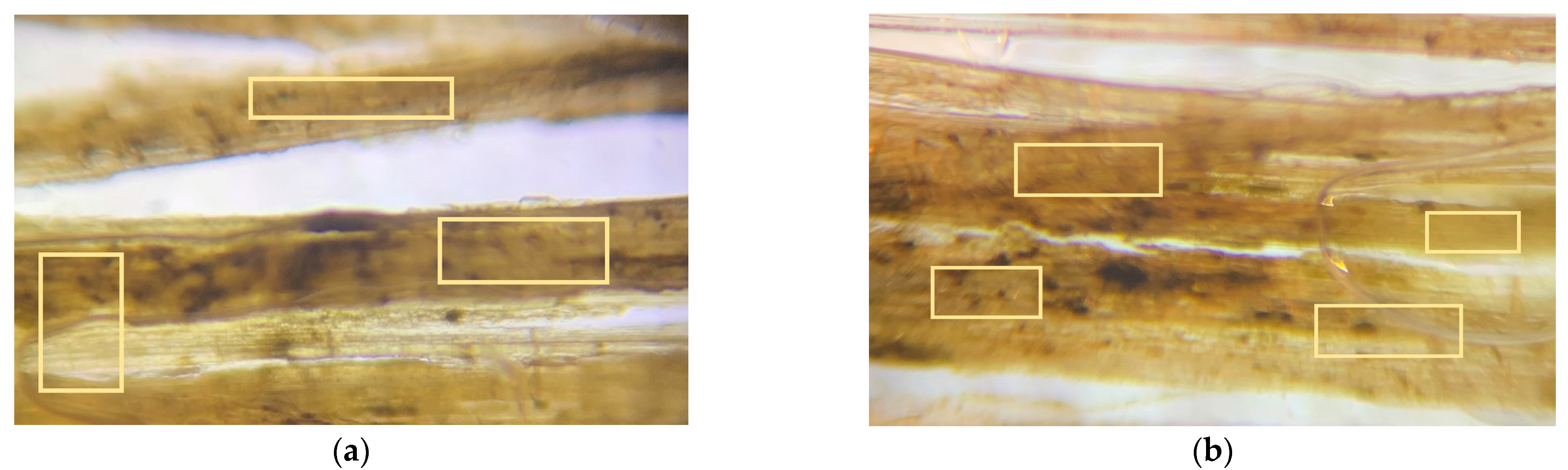 Polymers 14 04530 g009