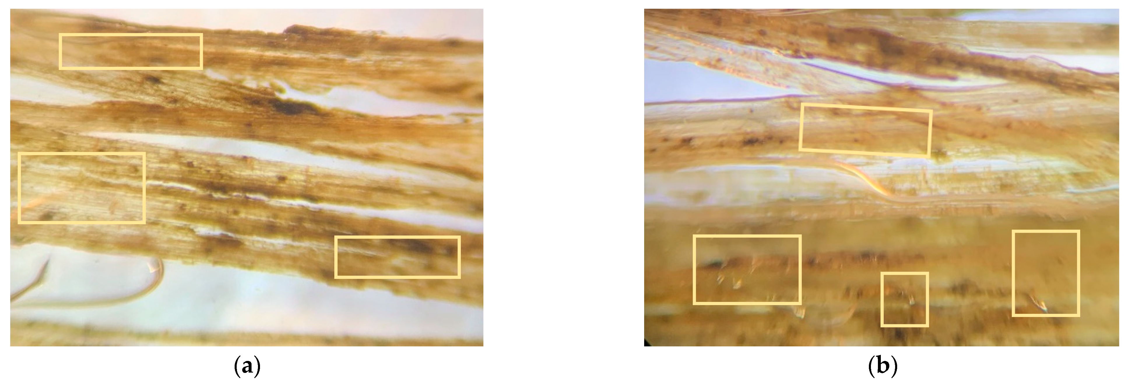 Polymers 14 04530 g010
