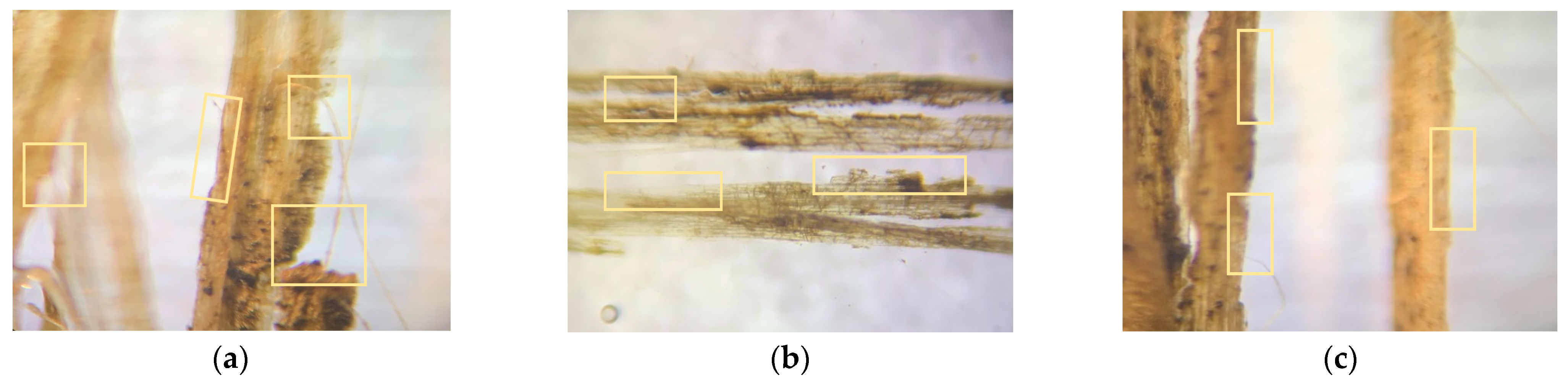 Polymers 14 04530 g011a