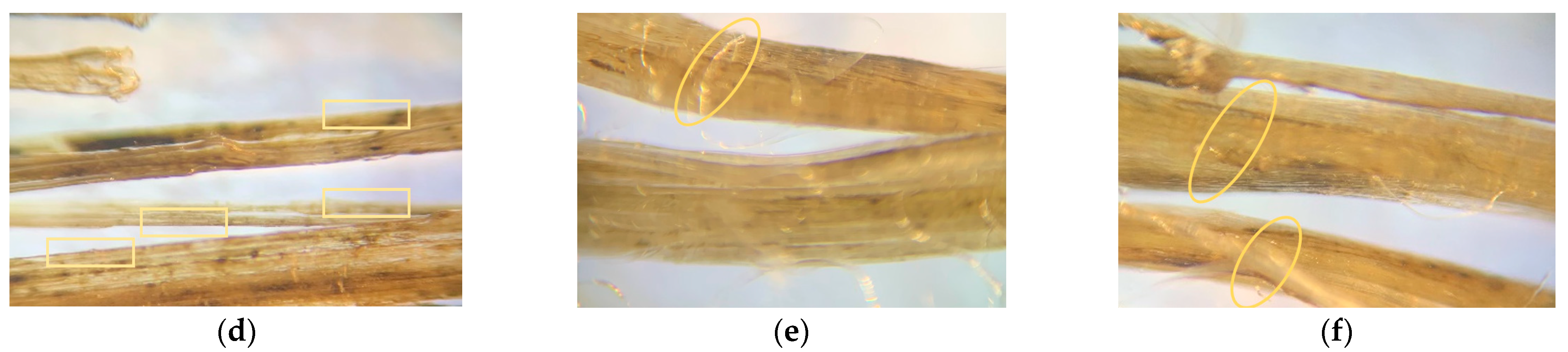 Polymers 14 04530 g011b