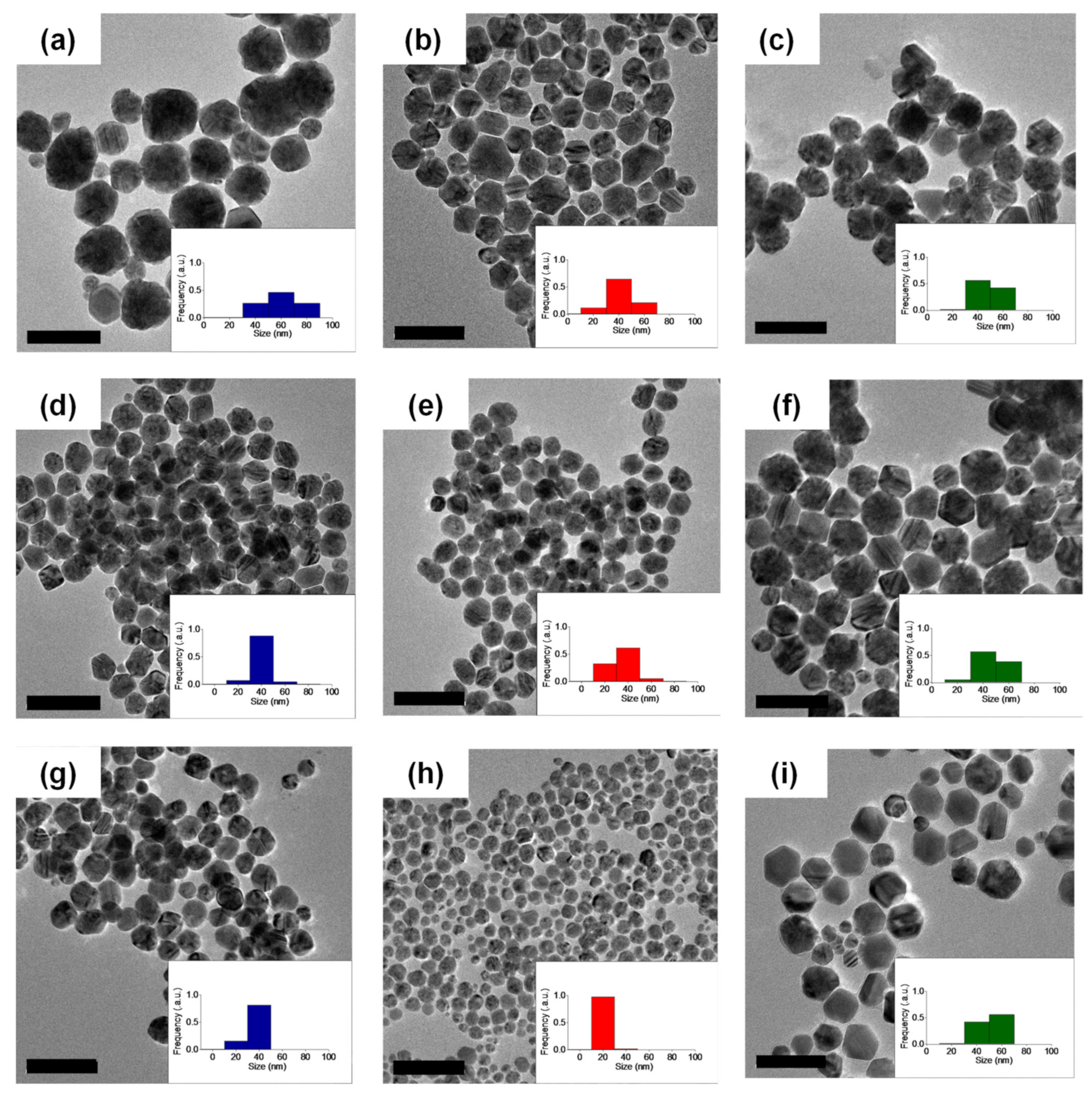 Polymers 14 04535 g001