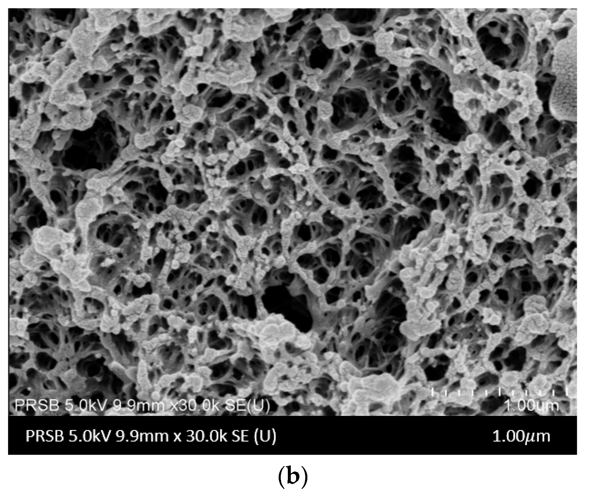 Polymers 14 04537 g002b
