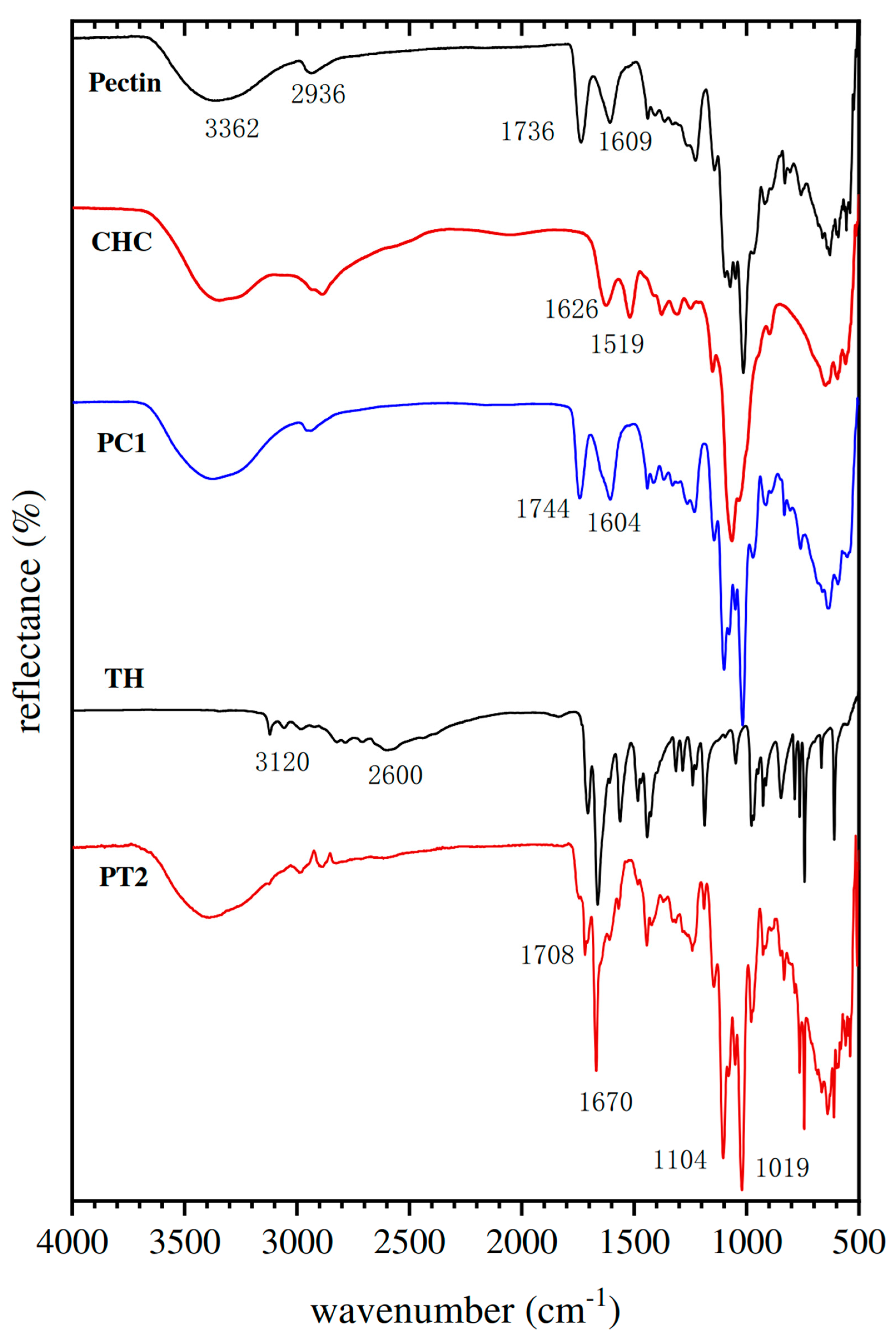 Polymers 14 04538 g005