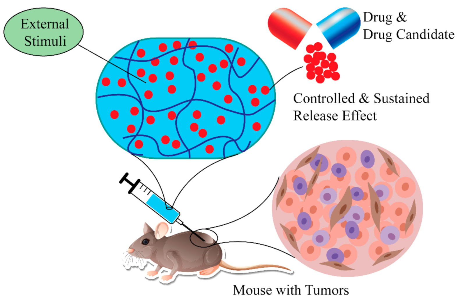 Polymers 14 04539 g008
