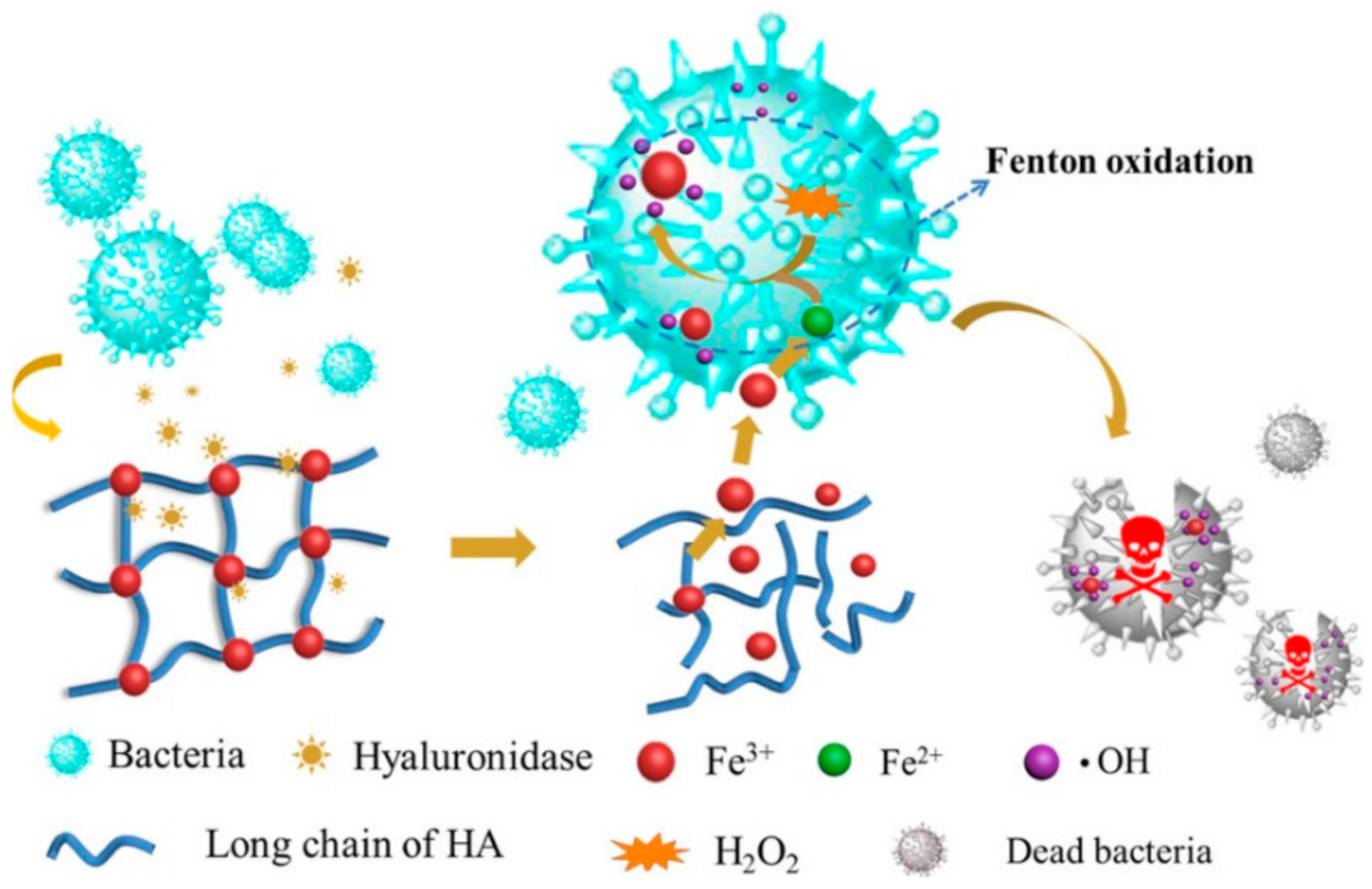 Polymers 14 04539 g009