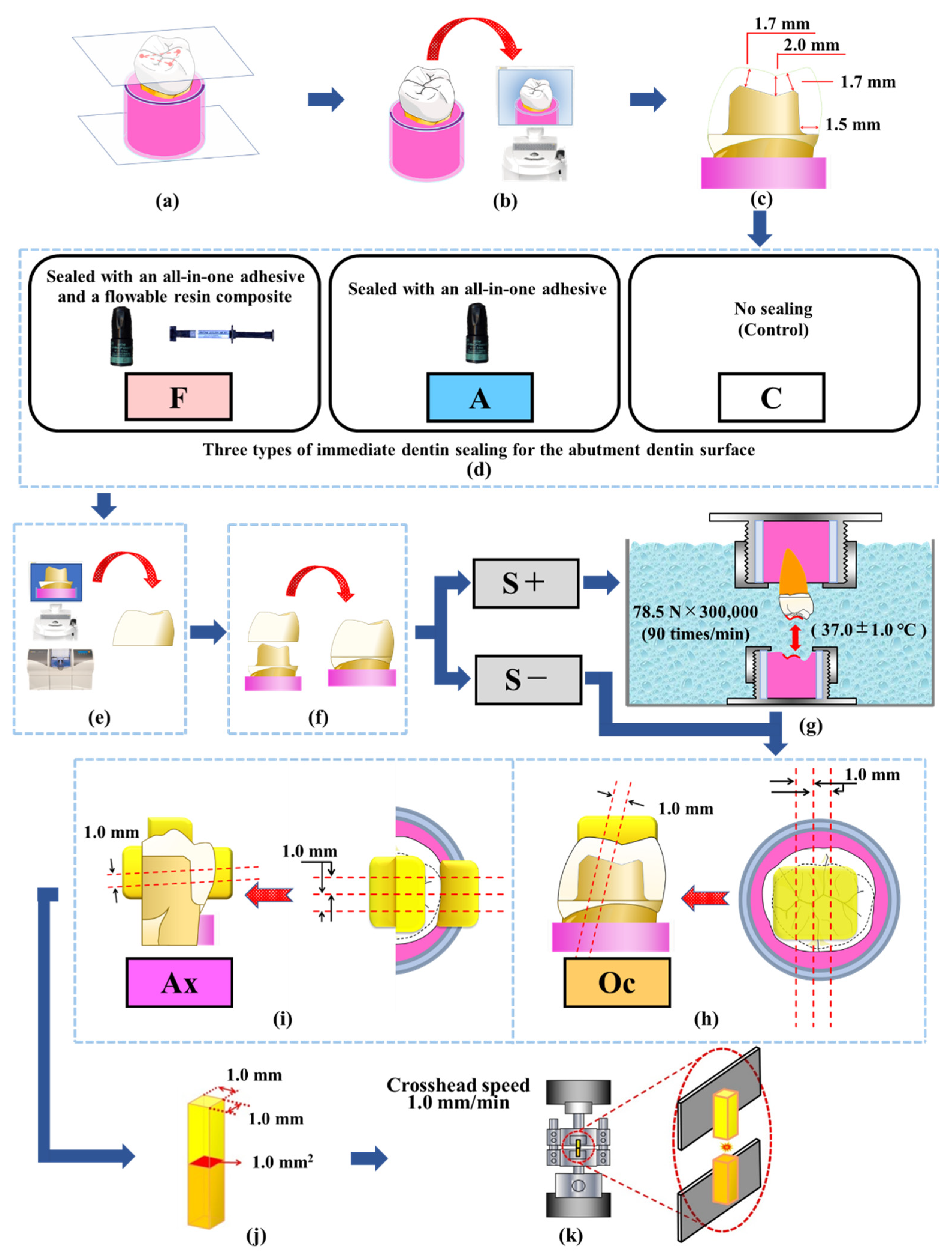 Polymers 14 04541 g001 Polymers 14 04541 g001