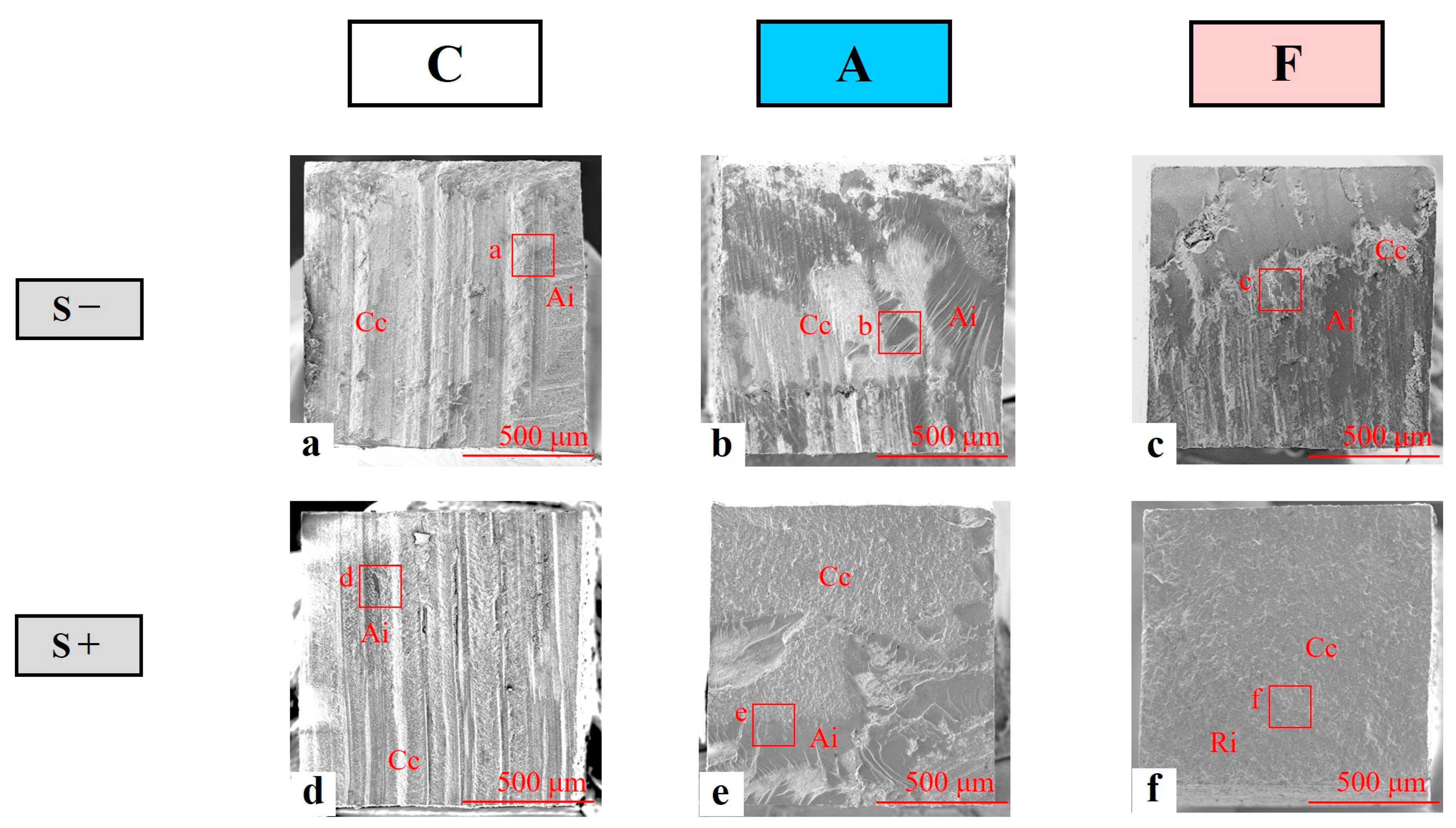 Polymers 14 04541 g004 Polymers 14 04541 g004