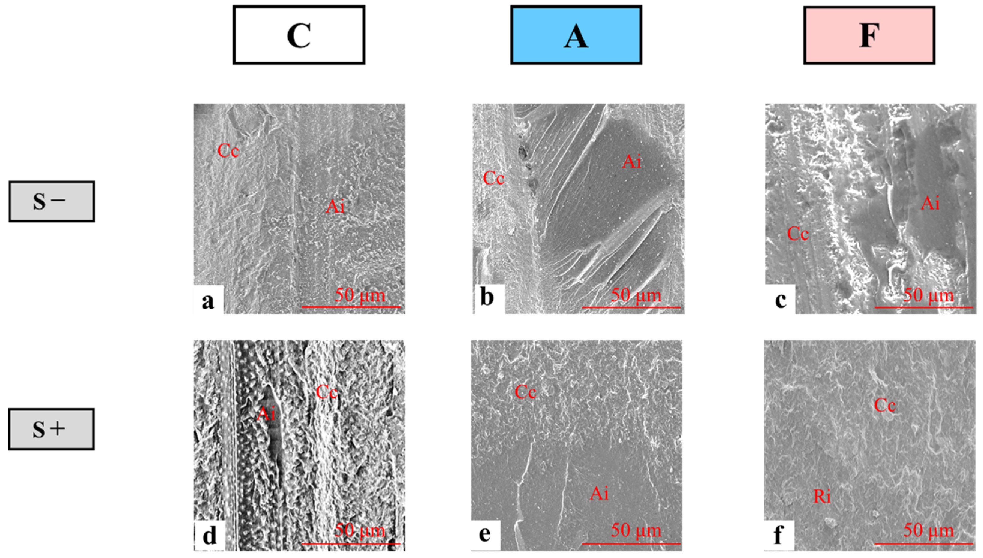 Polymers 14 04541 g005 Polymers 14 04541 g005