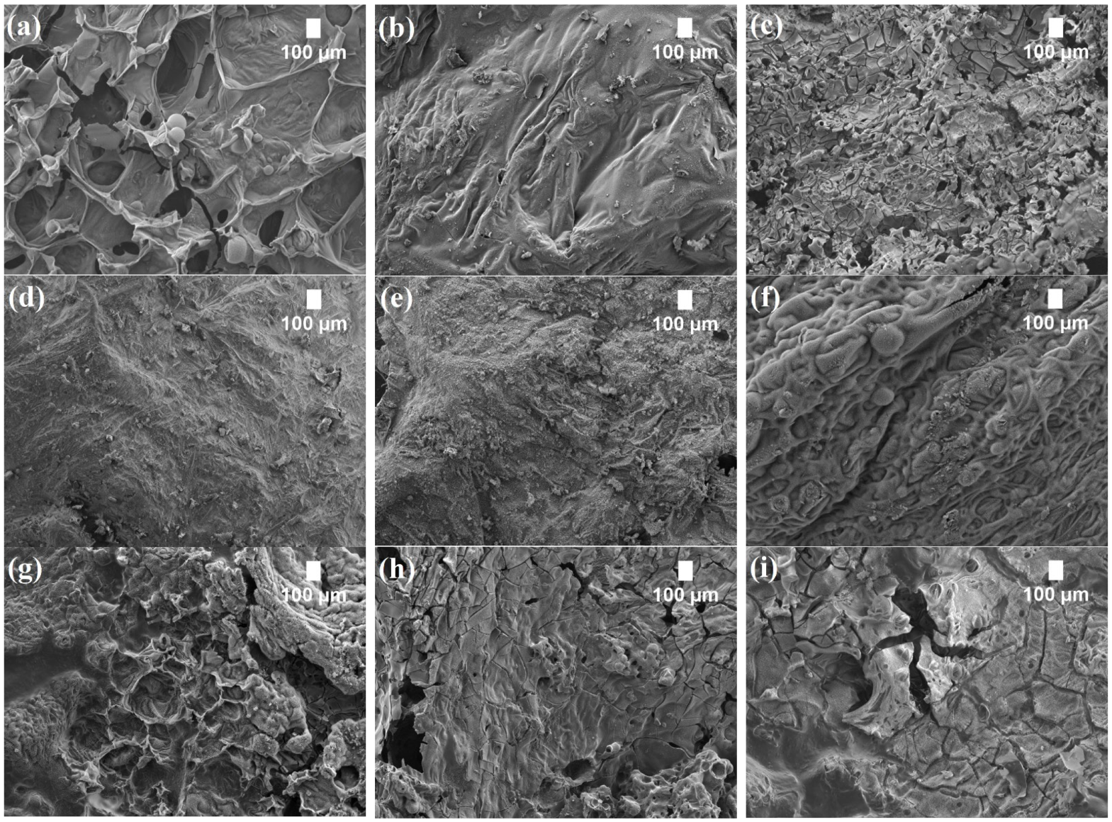 Polymers 14 04543 g006a