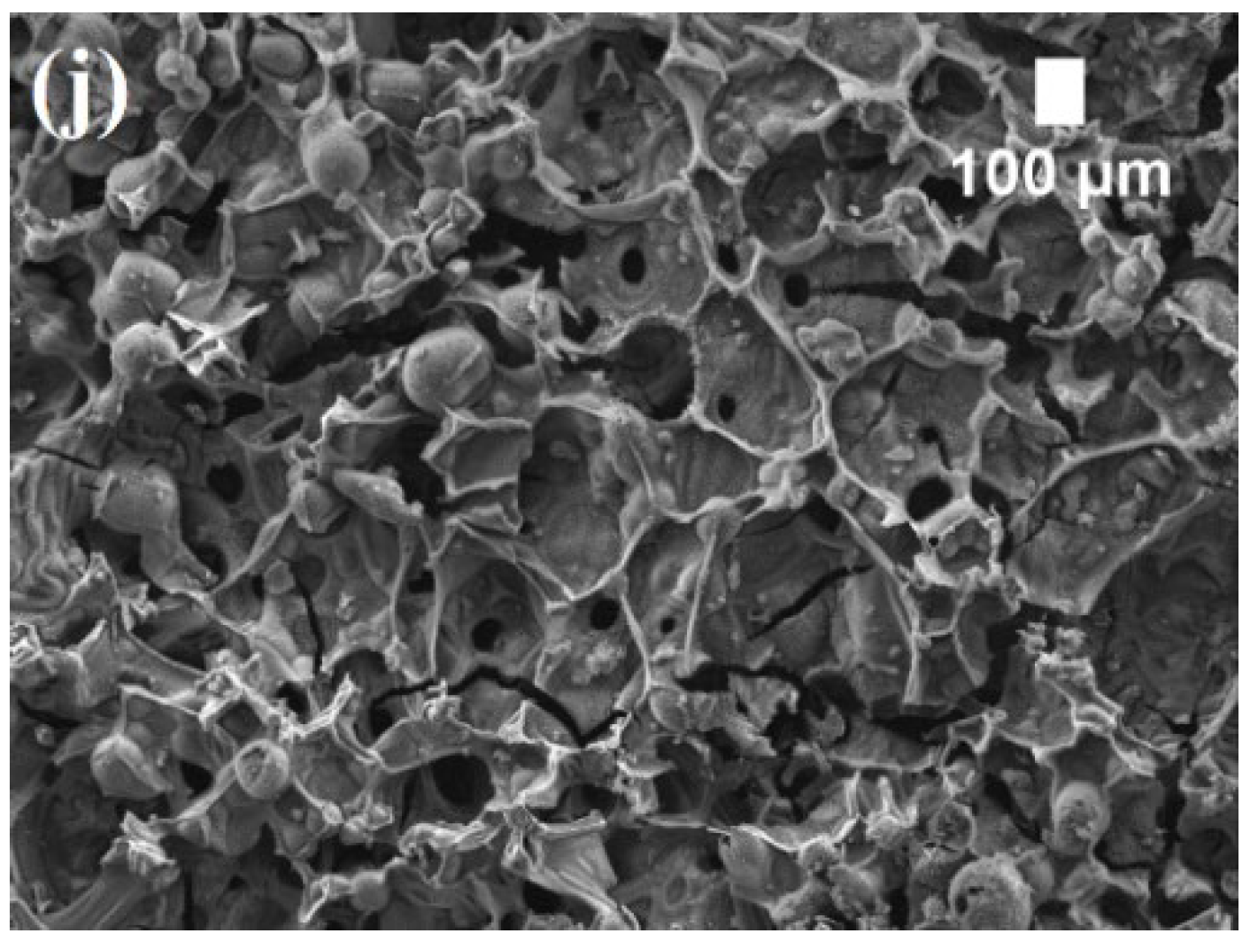 Polymers 14 04543 g006b